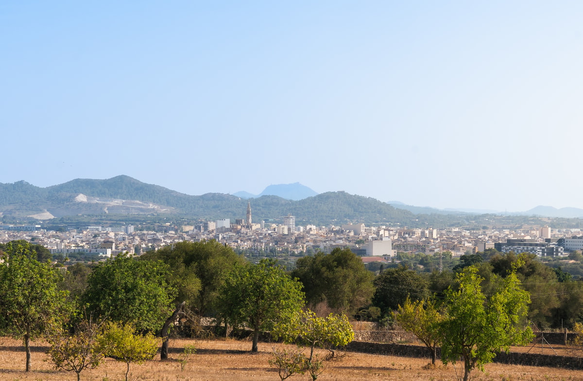Vista panorámica del paisaje rural con árboles frutales en primer plano, hacia el pueblo de Manacor y las colinas.