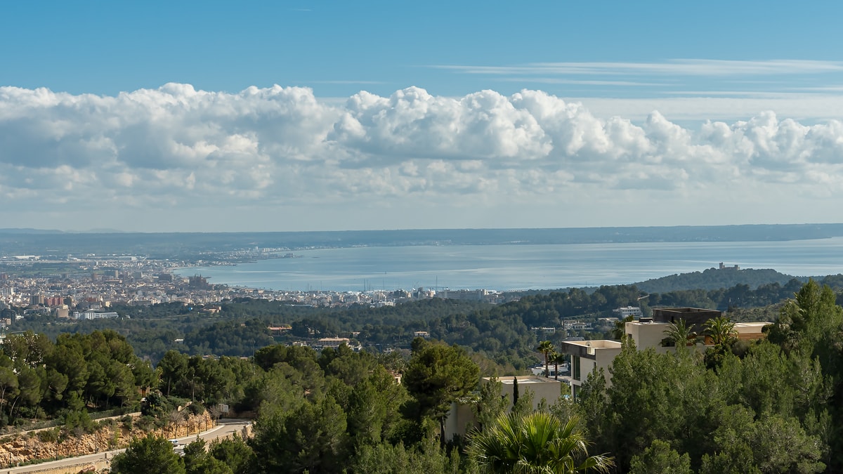 Wide-angle view of the Palma bay and cityscape under a bright sky with scattered clouds, framed by Mediterranean greenery.