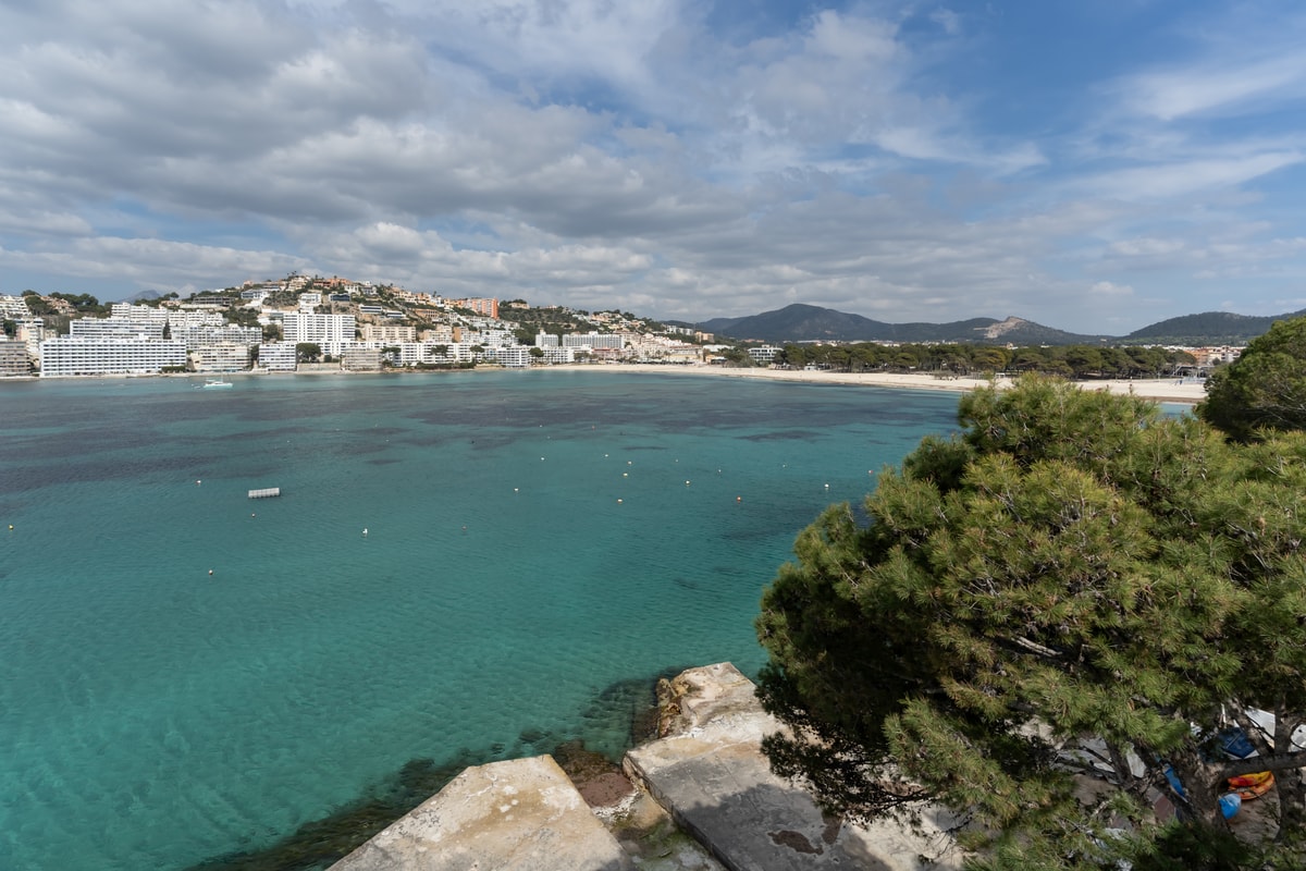 Coastal view from a rocky elevation overlooking a clear turquoise bay, framed by pine trees with a sandy beach beyond.