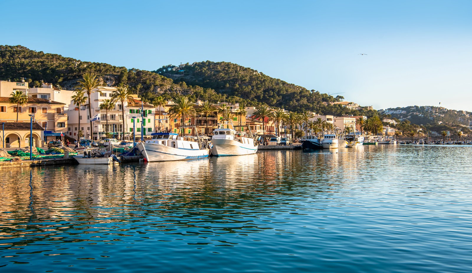 €11.000 a Square Metre: What Just Happened in the Southwest
