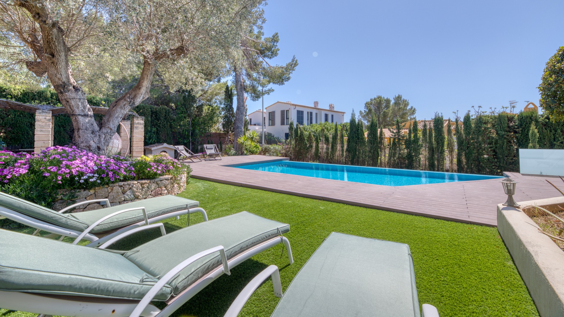 A private garden with a swimming pool, sun loungers on grass, a mature olive tree, and privacy hedges under a clear blue sky.