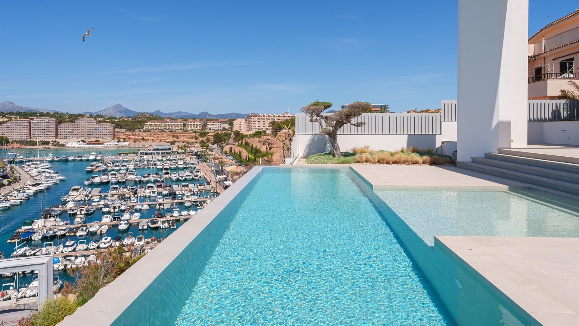 A modern infinity pool on a white terrace overlooking a busy marina and the sea under a clear blue sky.