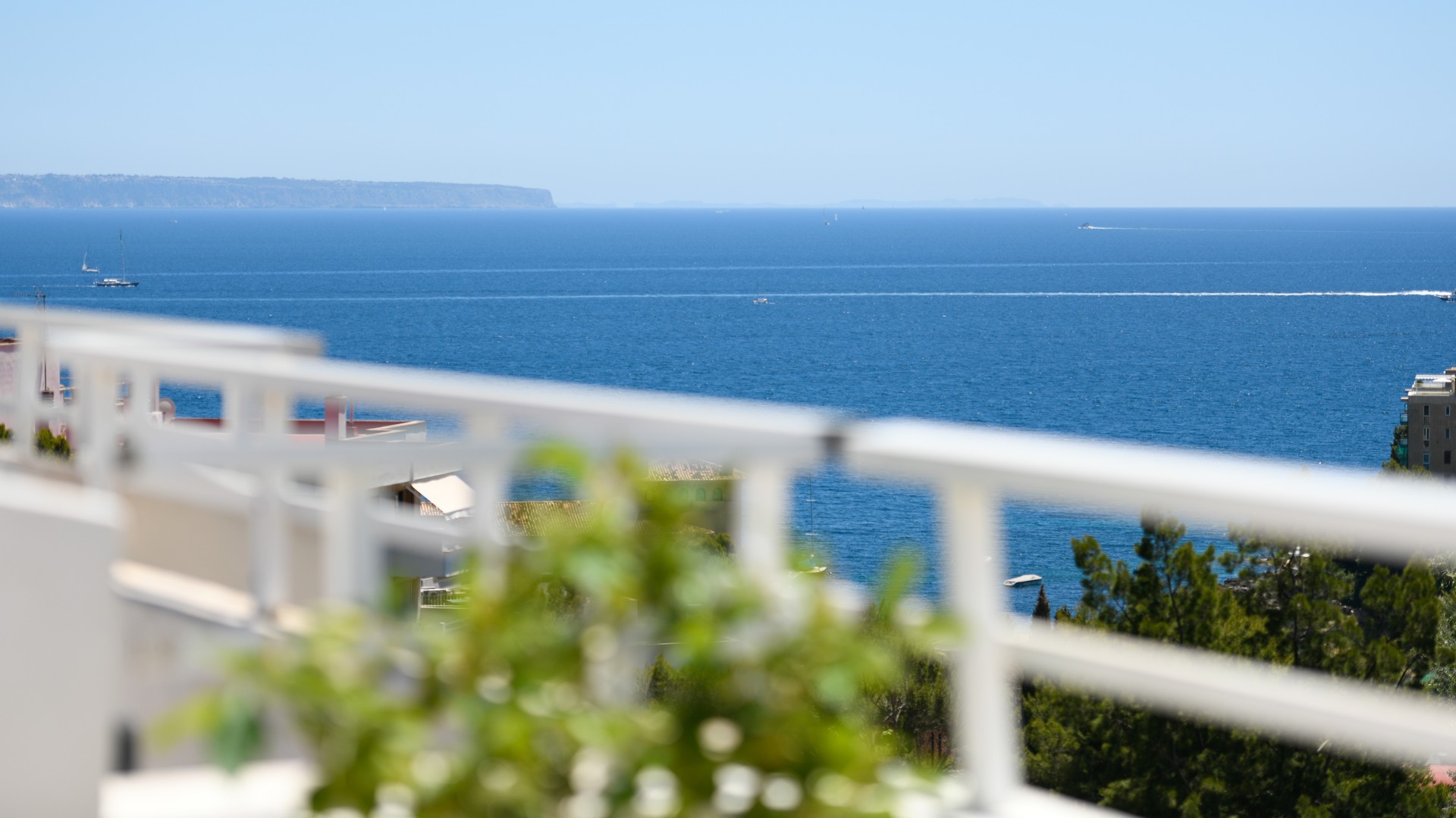 Panoramic view of the Mediterranean sea from a white railing, with blurred foliage in the foreground.