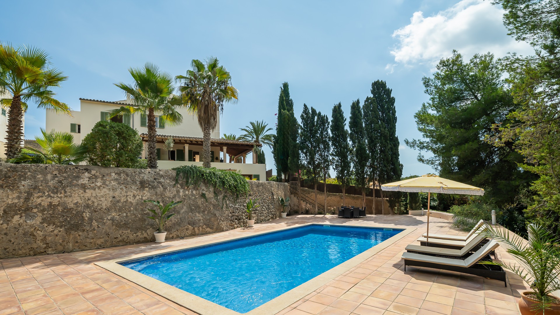 Rectangular blue swimming pool on a paved stone terrace with sun loungers, bordered by cypress and pine trees.