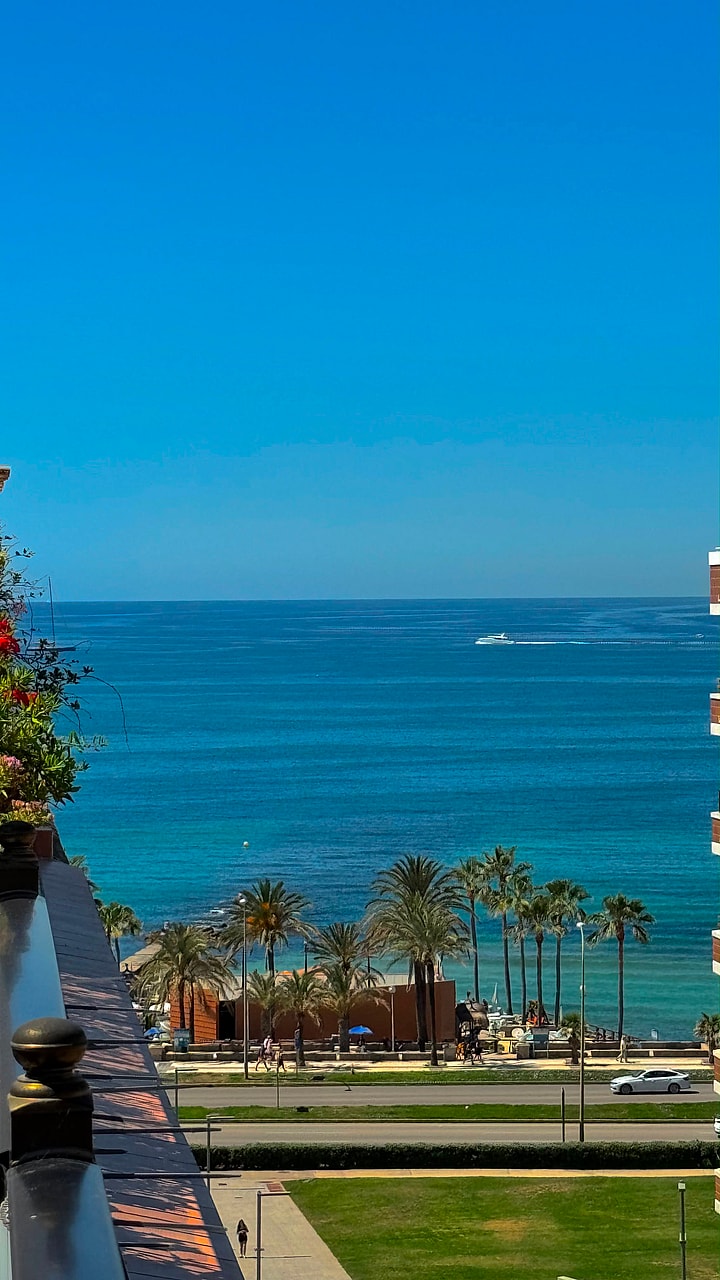 High-angle view from a terrace overlooking a coastal road, palm trees, and the blue sea on a clear sunny day.