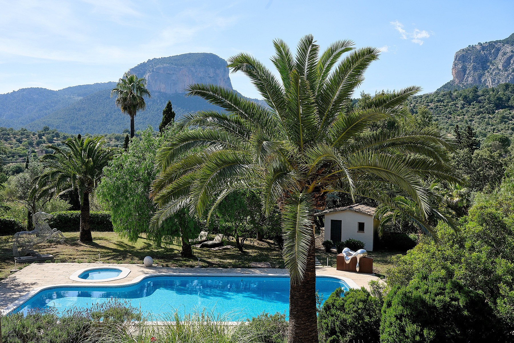 A rectangular outdoor swimming pool surrounded by greenery and a palm tree, with Alaro's mountain landscape in the background.