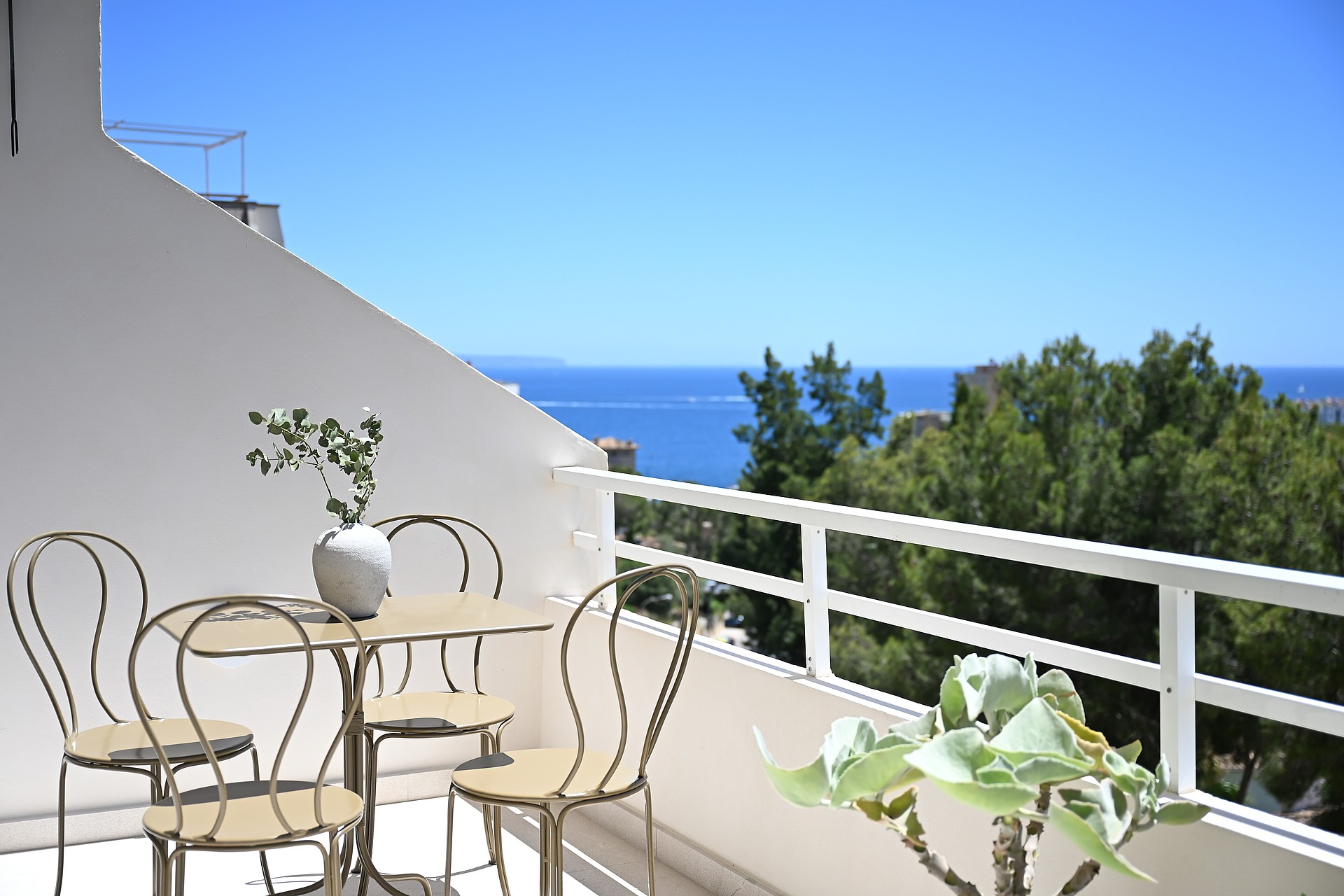 Panoramic view from rooftop terrace across Mediterranean pine canopy toward the Bay of Palma