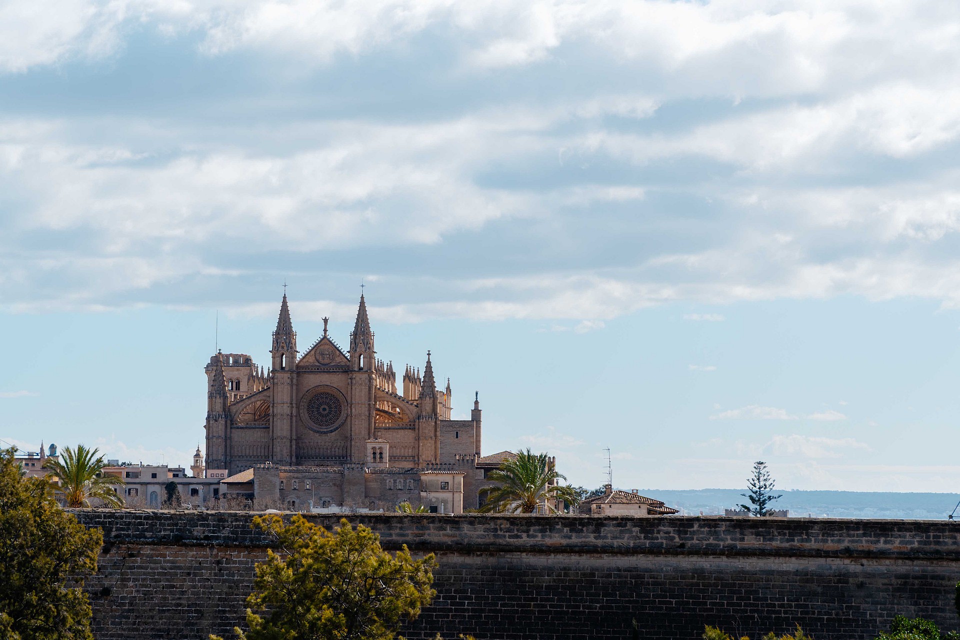 Daytime view of the historic Palma Cathedral rising above a stone perimeter wall, with green foliage in the foreground.