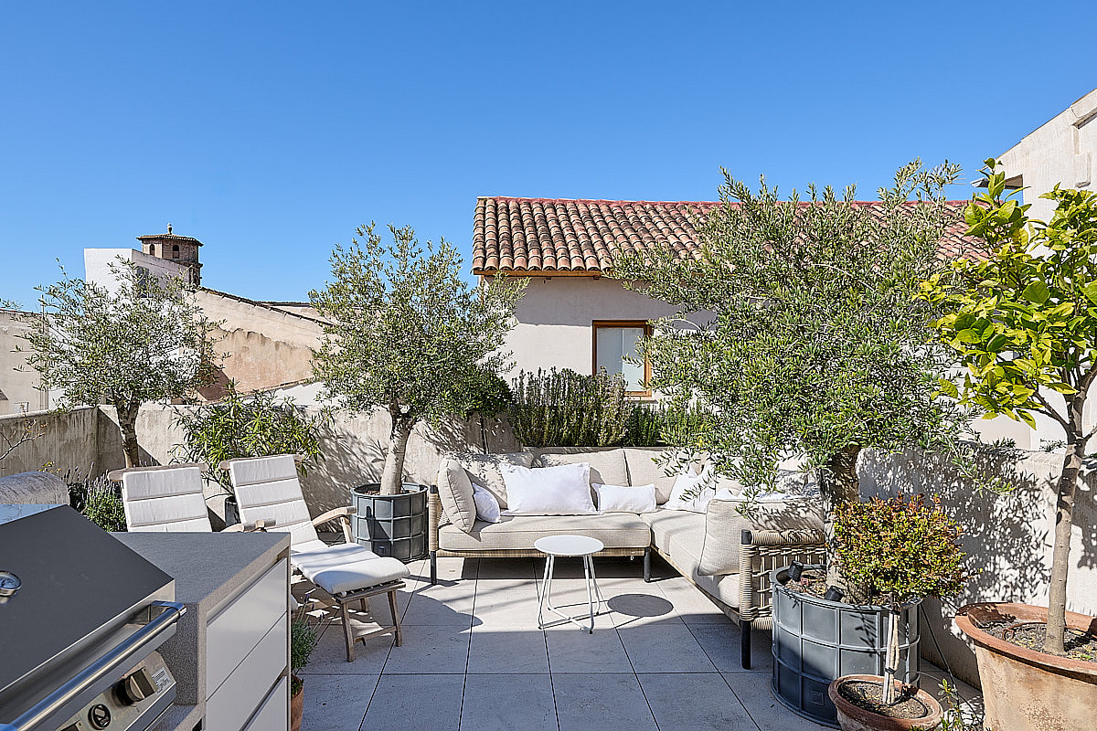 Private rooftop terrace with cream-coloured lounge seating, potted olive trees, Mediterranean planting, and panoramic views of Palma Cathedral
