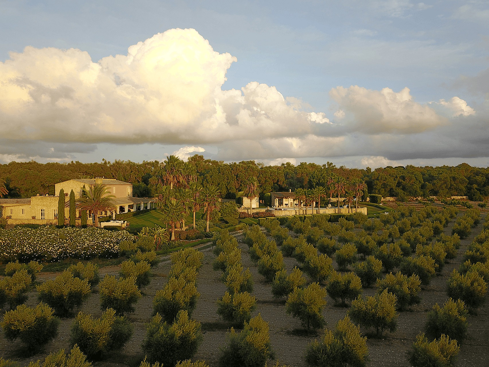 Aerial perspective of a stone Finca surrounded by olive groves at sunset under a cloudy sky.