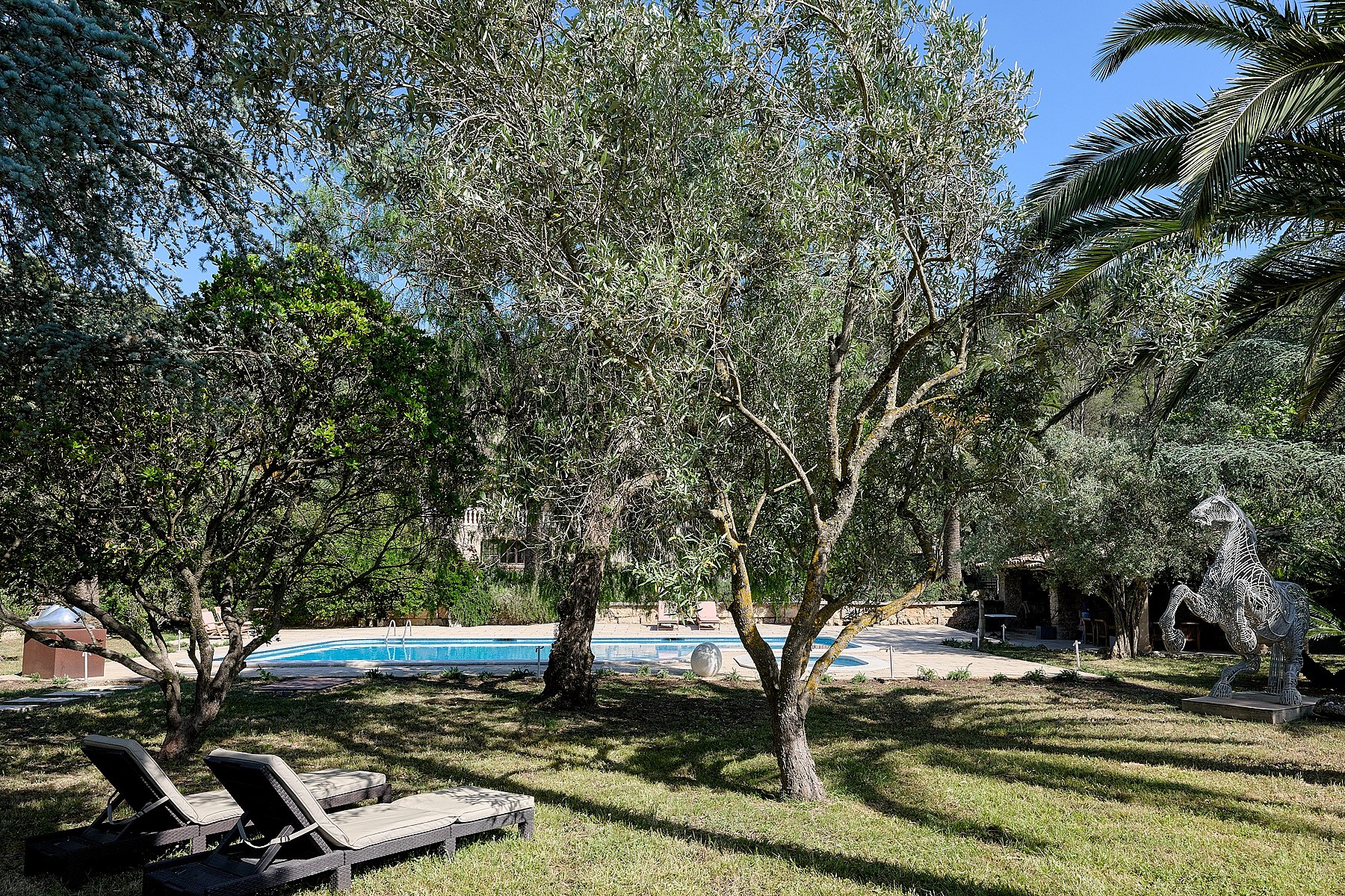 A rectangular swimming pool surrounded by mature olive trees, palm trees, and manicured lawns with two sun loungers in the foreground.