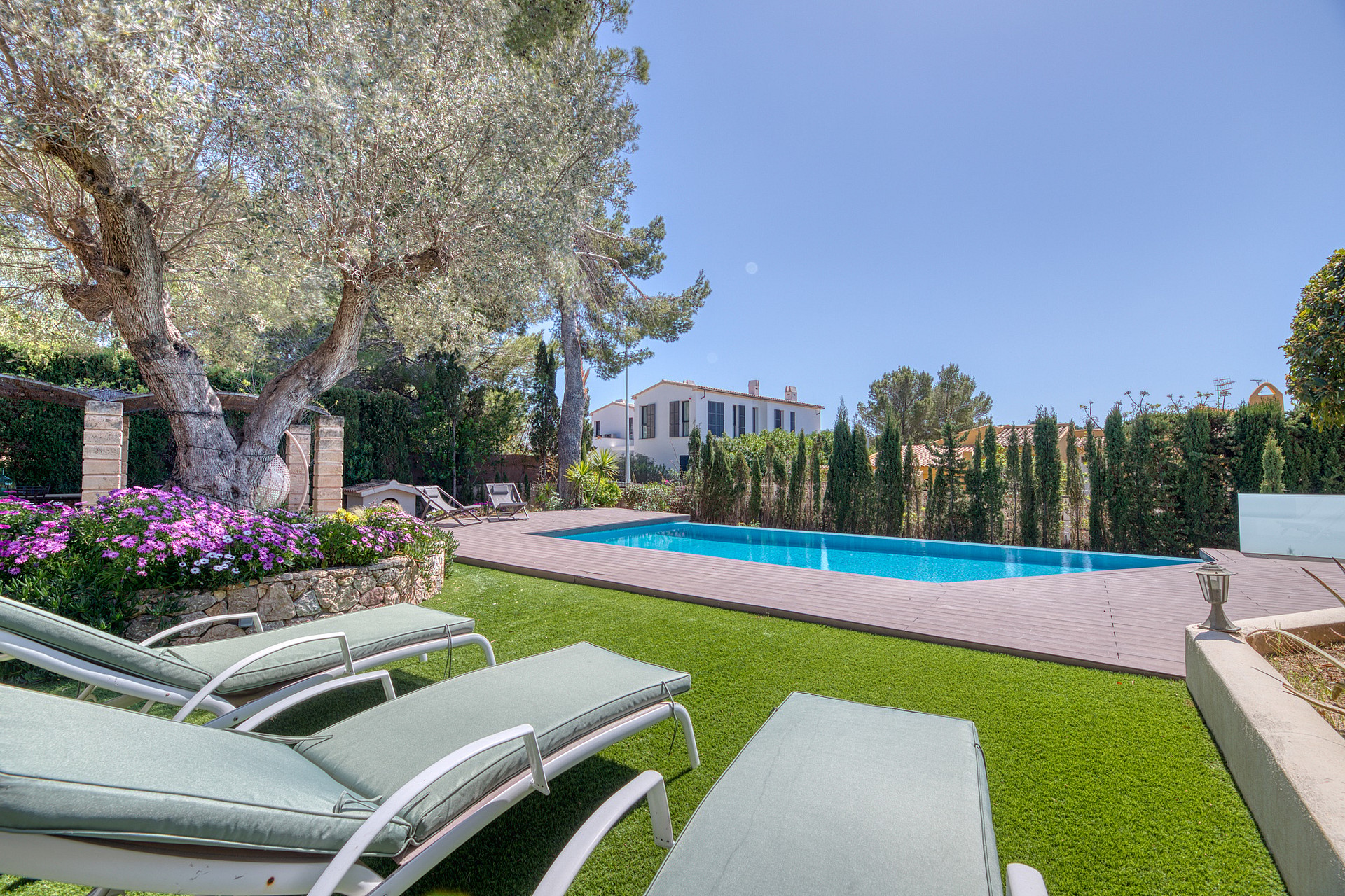 A private garden with a swimming pool, sun loungers on grass, a mature olive tree, and privacy hedges under a clear blue sky.