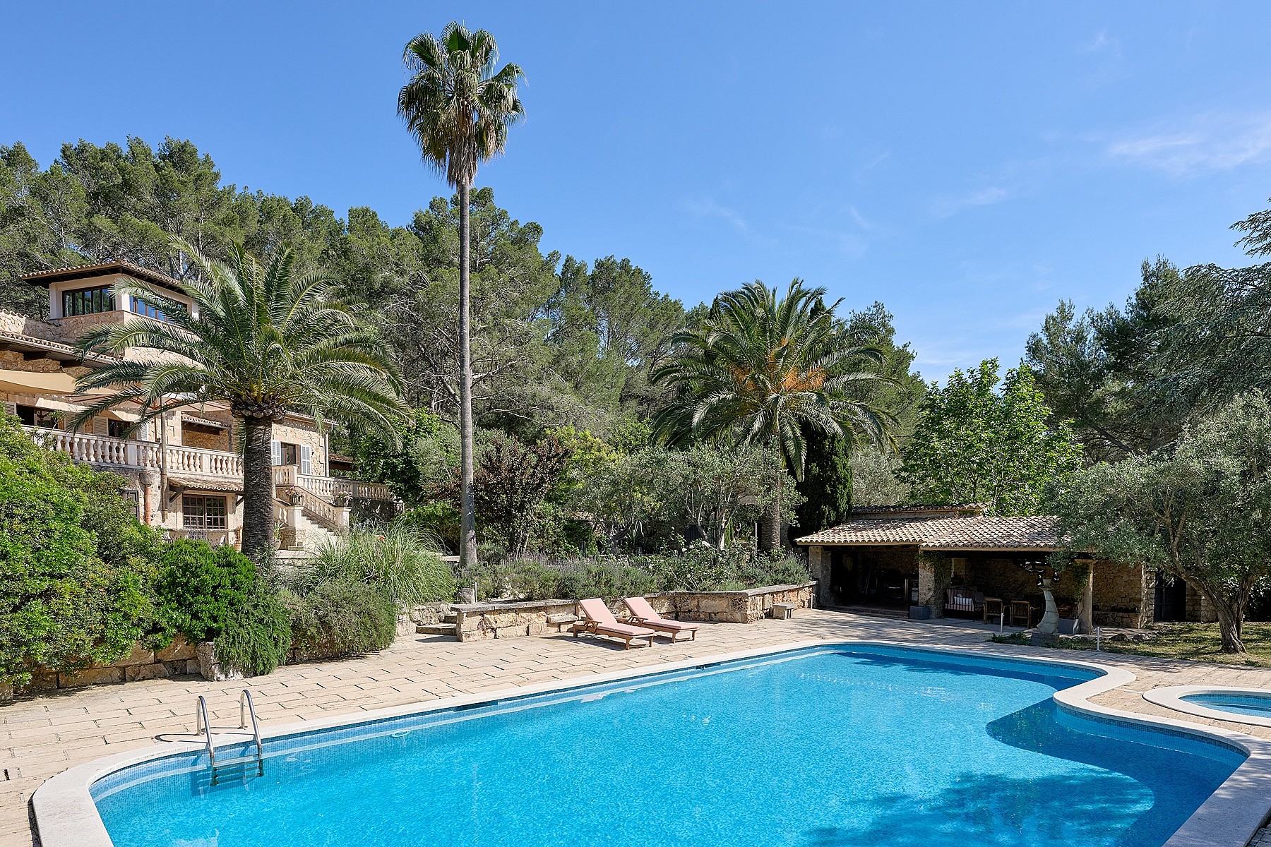 Outdoor swimming pool with blue water and surrounding stone terrace, palm trees, and mountain backdrop in Alaro.
