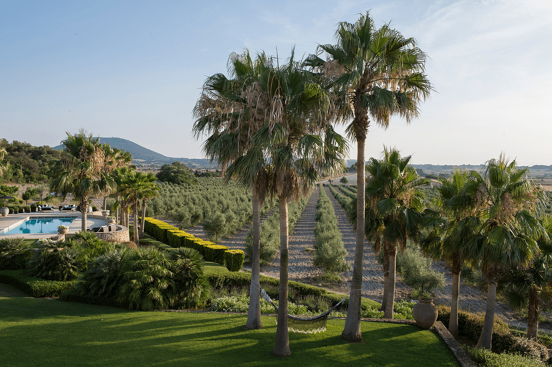 A green lawn framed by palm trees leads to an olive grove with mountain views in the distance.