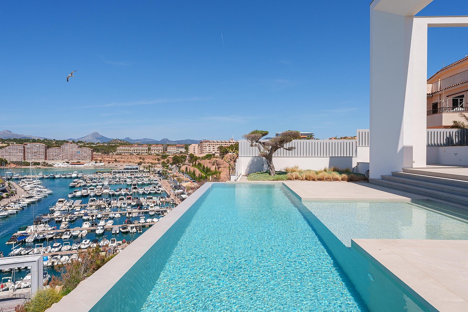 A modern infinity pool on a white terrace overlooking a busy marina and the sea under a clear blue sky.