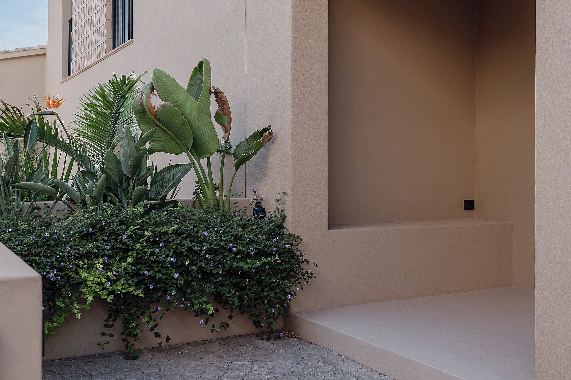 A close-up view of a beige plaster wall exterior entrance with a built-in planter filled with tropical plants.