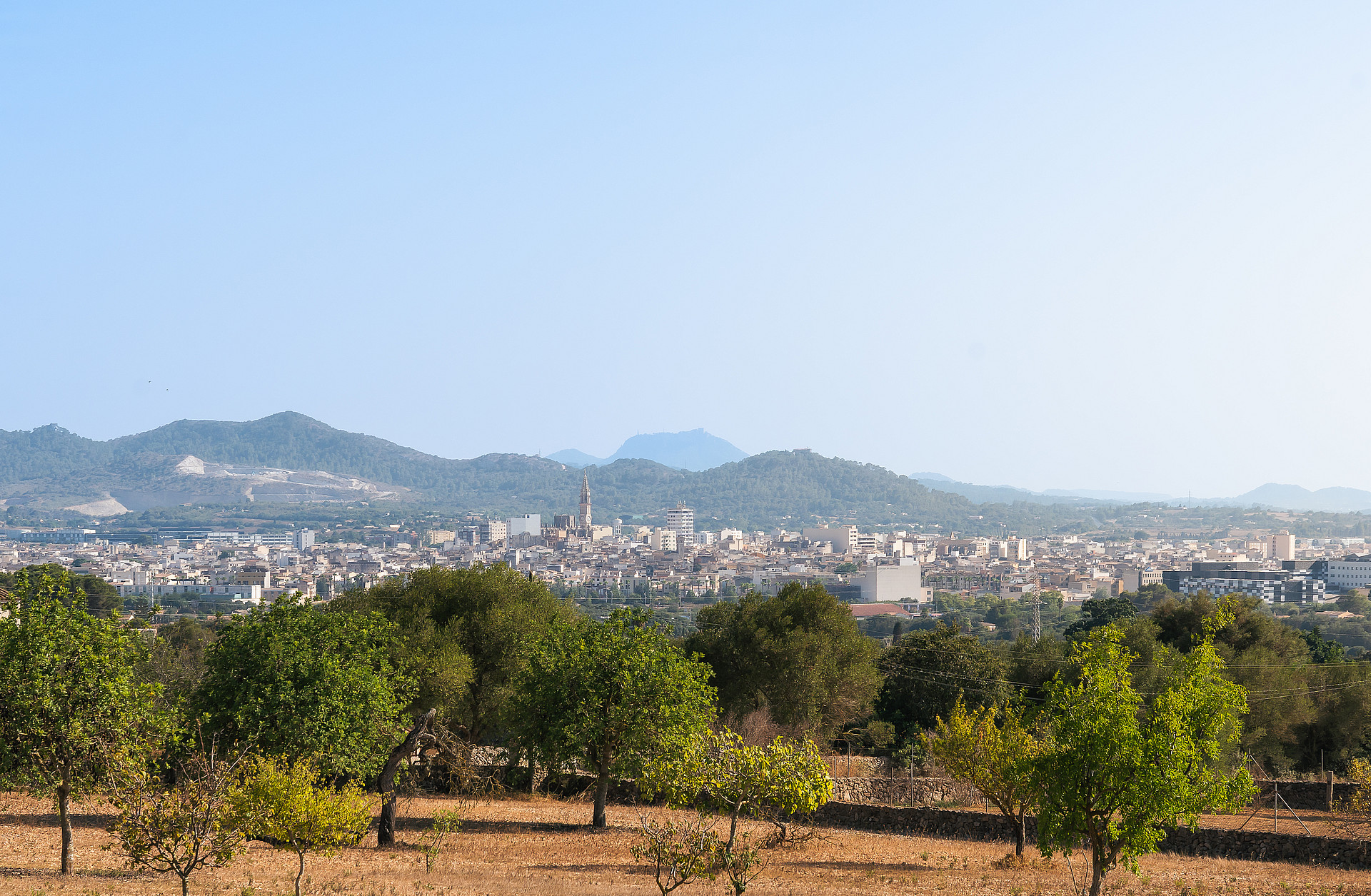 Vista panorámica del paisaje rural con árboles frutales en primer plano, hacia el pueblo de Manacor y las colinas.