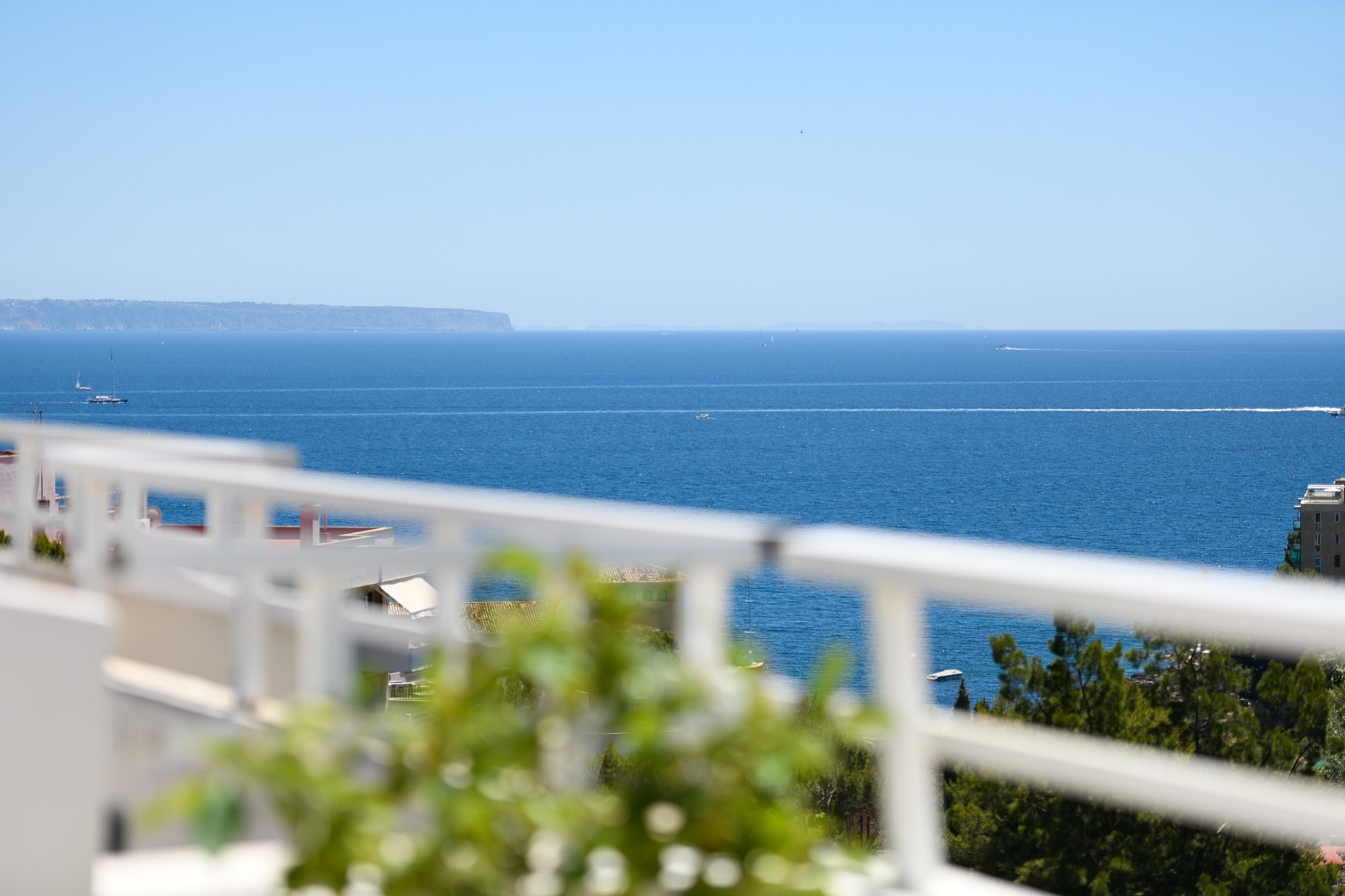Panoramic view of the Mediterranean sea from a white railing, with blurred foliage in the foreground.