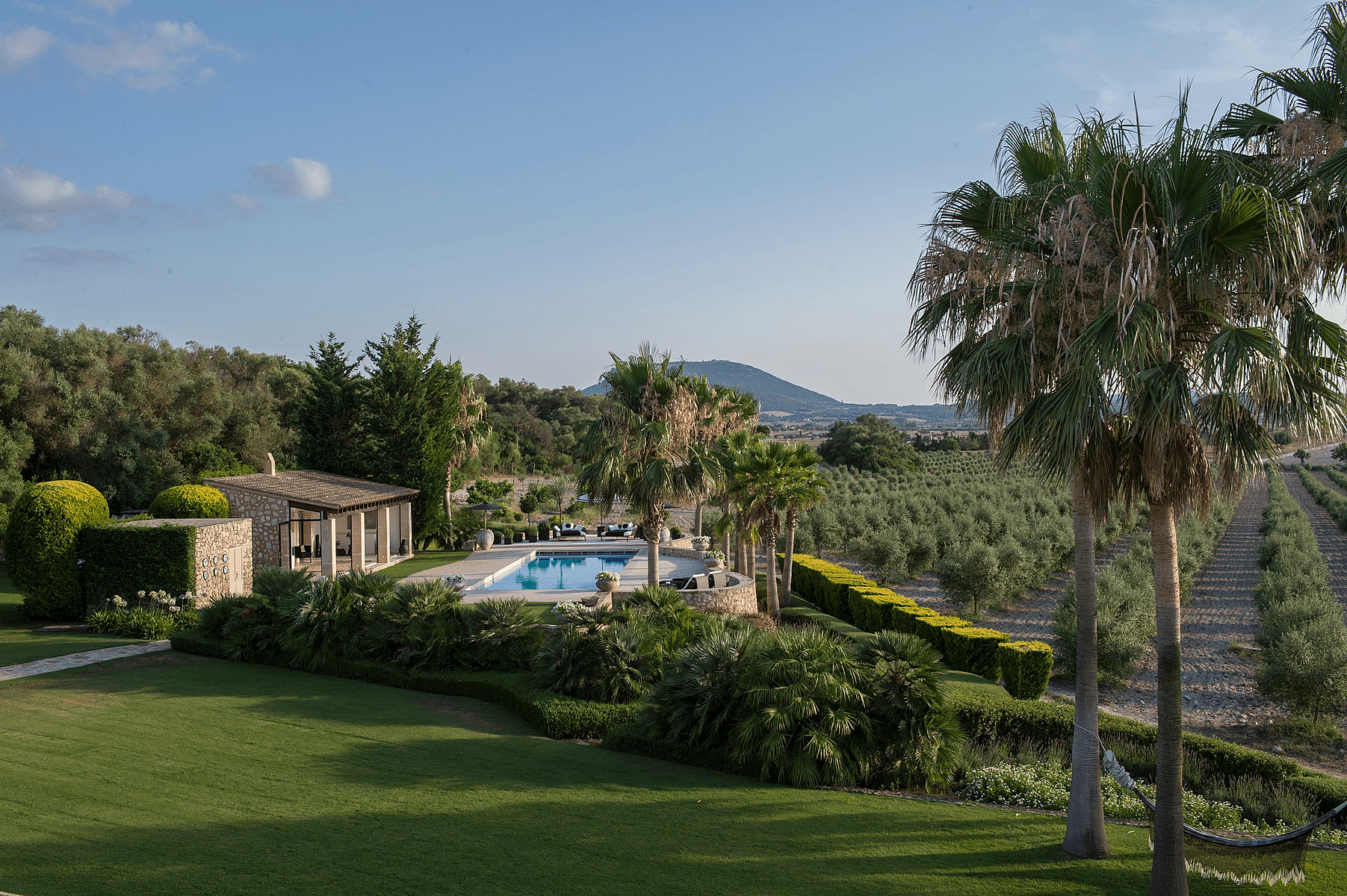 A rectangular swimming pool set within a landscaped garden, featuring palm trees and olive groves with mountain views in Algaida.