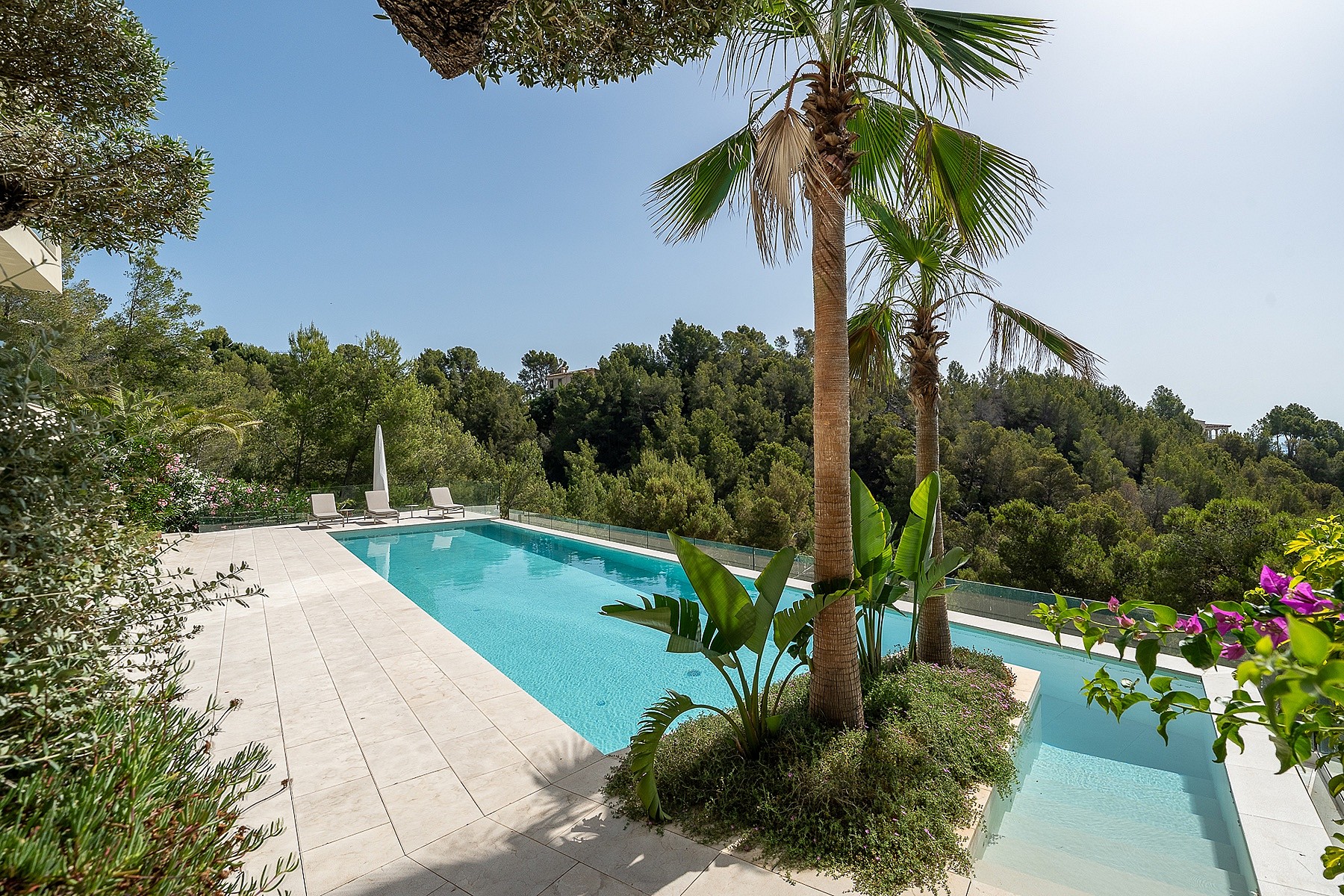 Outdoor swimming pool with stone tiled decking, palm trees, and surrounding forest vegetation in bright daylight.