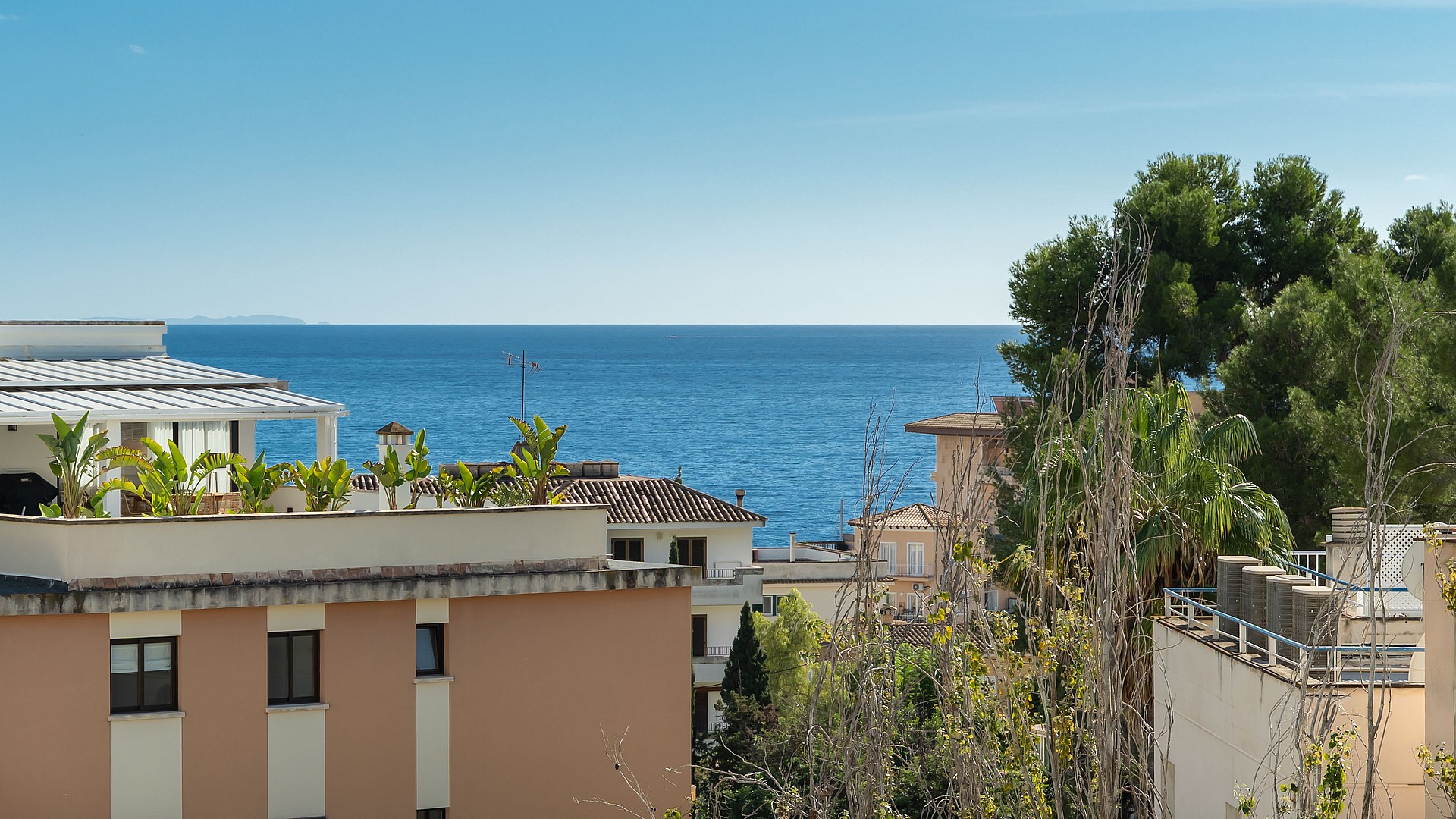 Elevated view overlooking rooftops of white villas towards a blue sea with mature pine trees in the foreground.