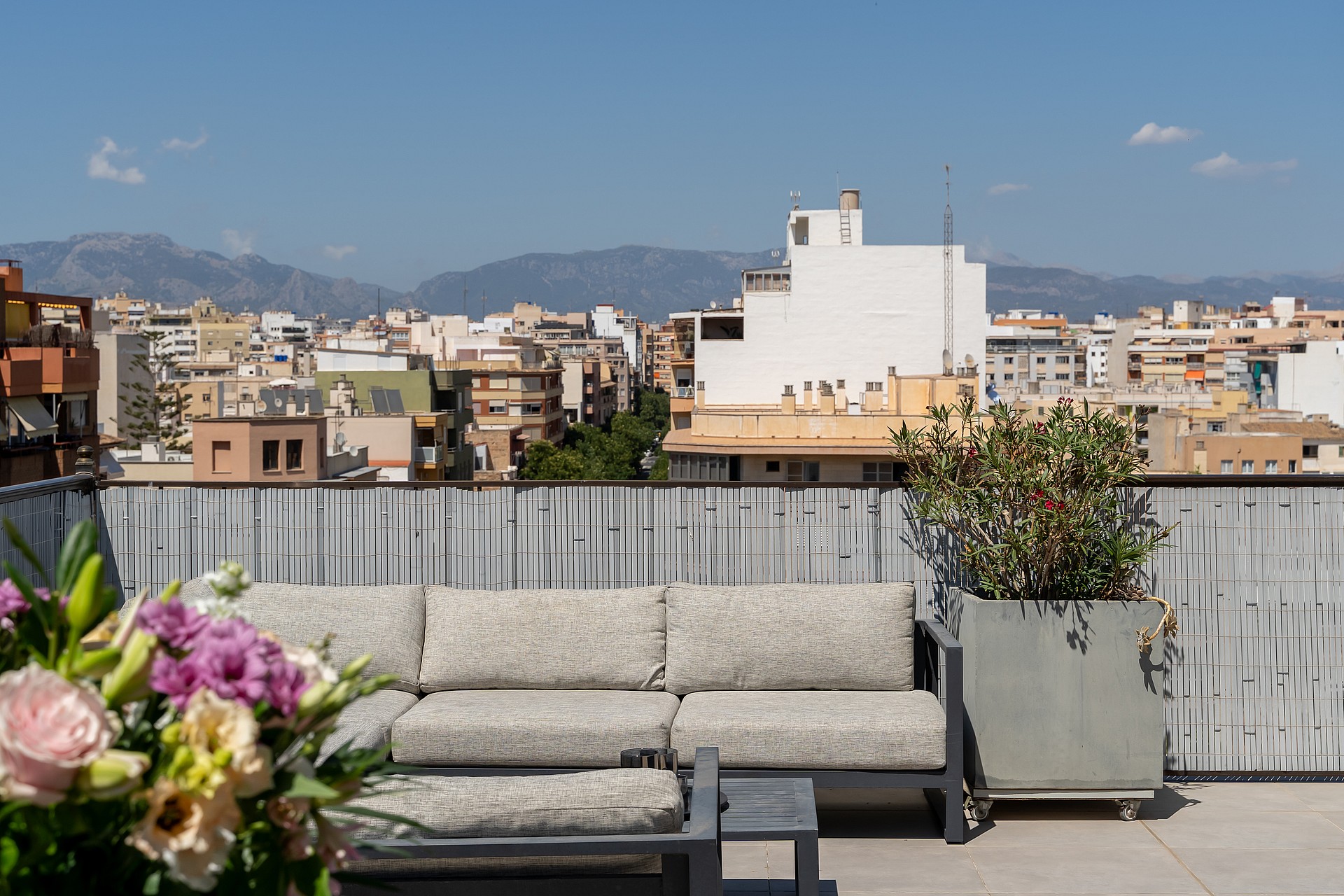 A rooftop terrace featuring a grey sofa, a large potted plant, and a metal privacy screen overlooking the Old Town cityscape.