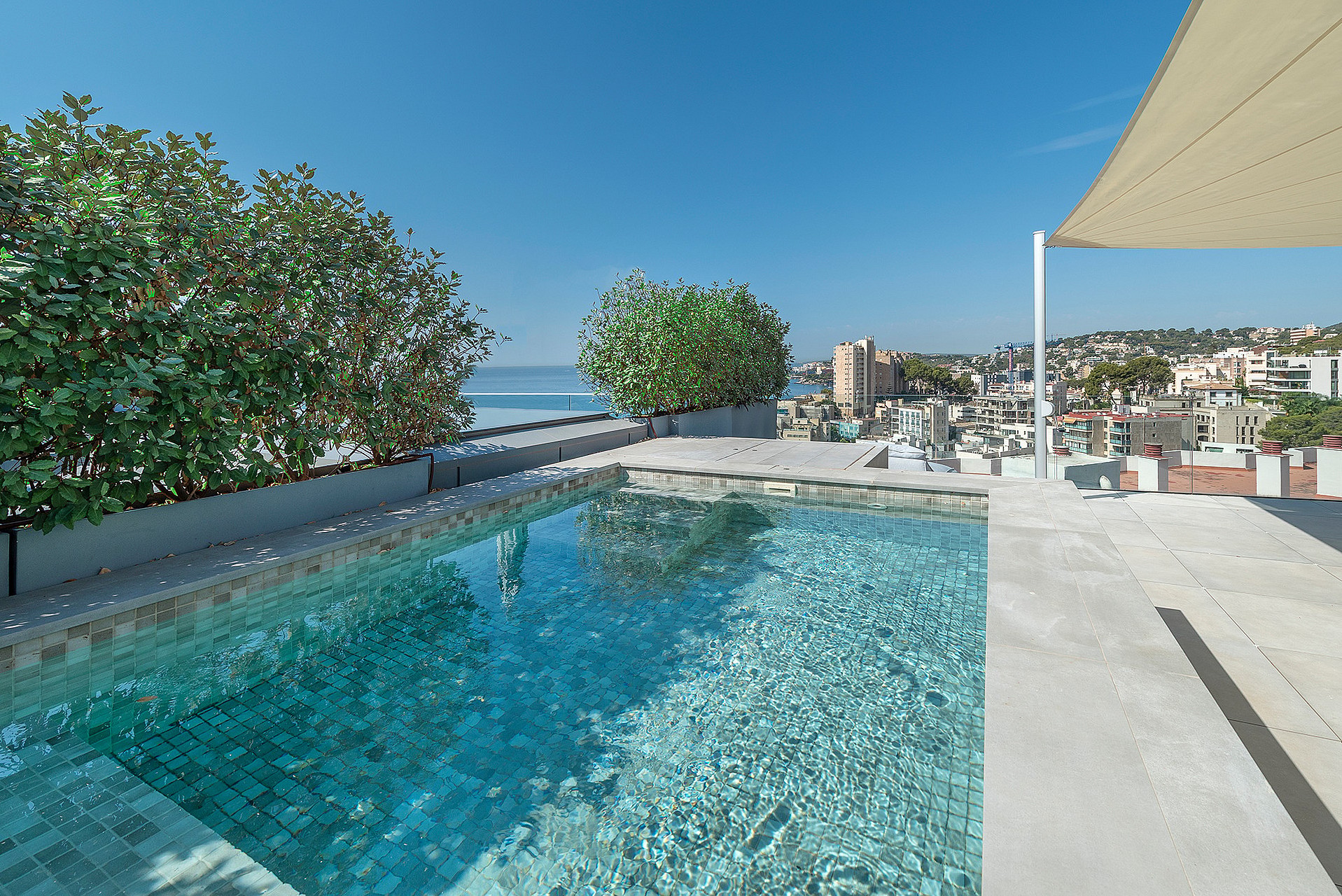 A private rooftop plunge pool with light blue tiled interior, framed by green shrubs, overlooking the Mediterranean sea.