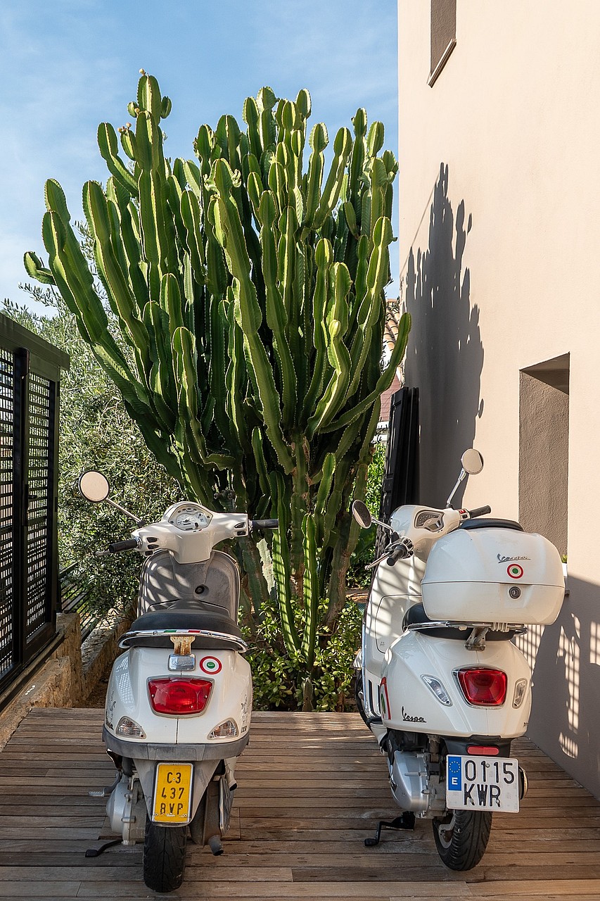 Two white scooters parked on a slatted timber deck beside a large green cactus and a plain beige villa wall.