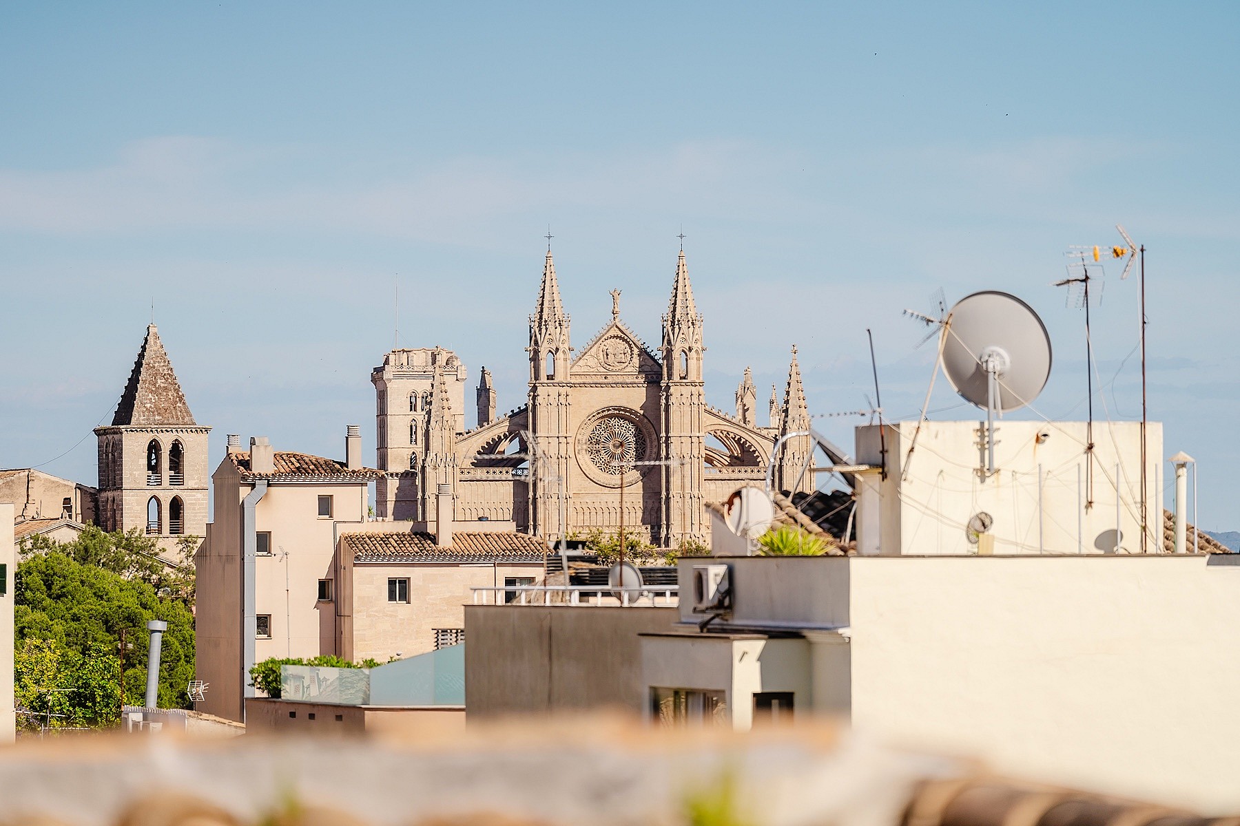 An eye-level view of the Palma Cathedral rising above the surrounding low-rise urban neighborhood rooftops under a clear blue sky.