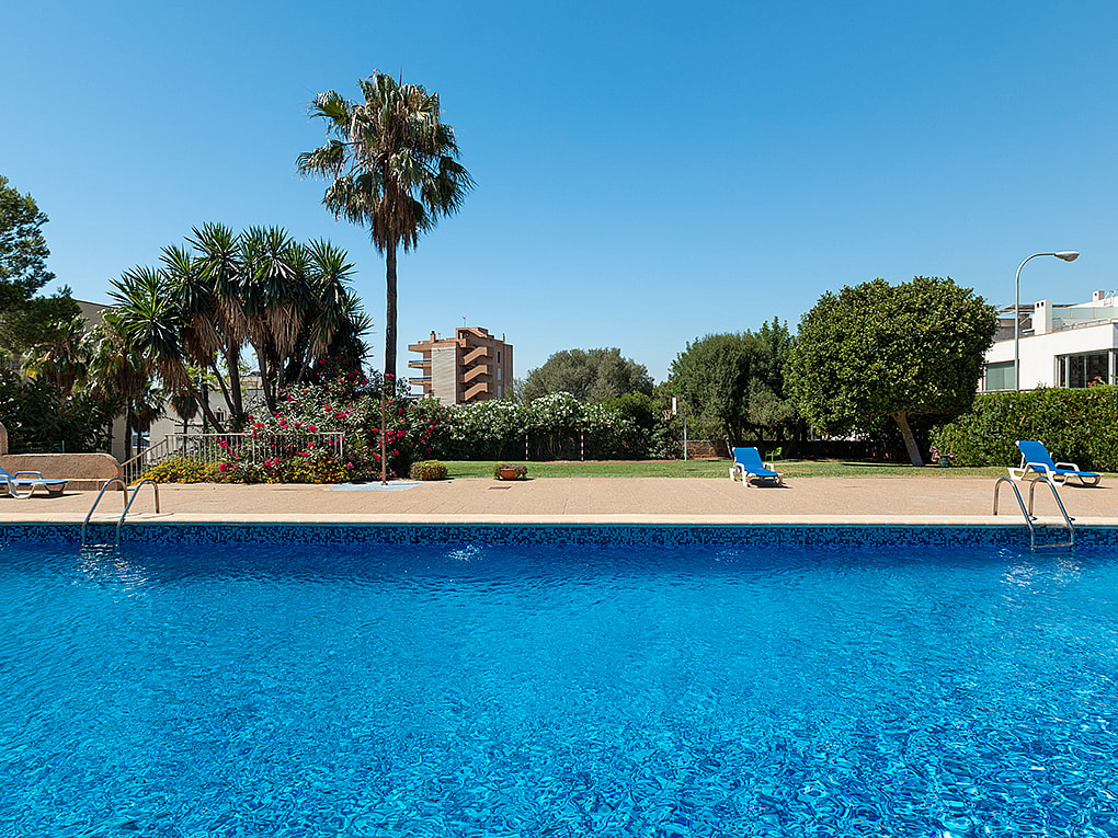 Gemeinschaftlicher Außenpool mit Palmen und blühendem Garten in einem Wohngebäude in Bonanova Palma
