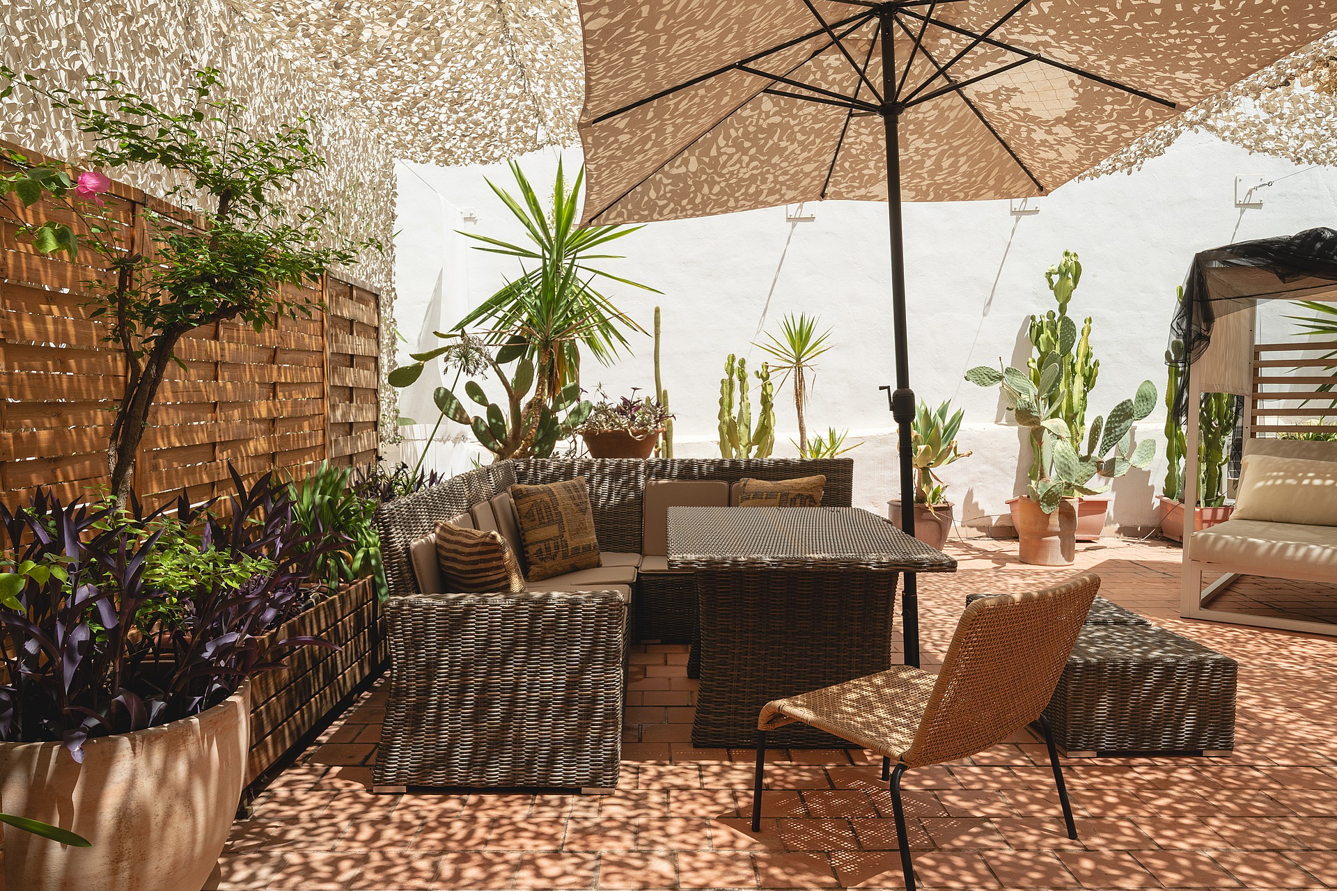 Outdoor terrace in Santa Catalina featuring woven lounge furniture, a large umbrella, and various potted cacti and plants.