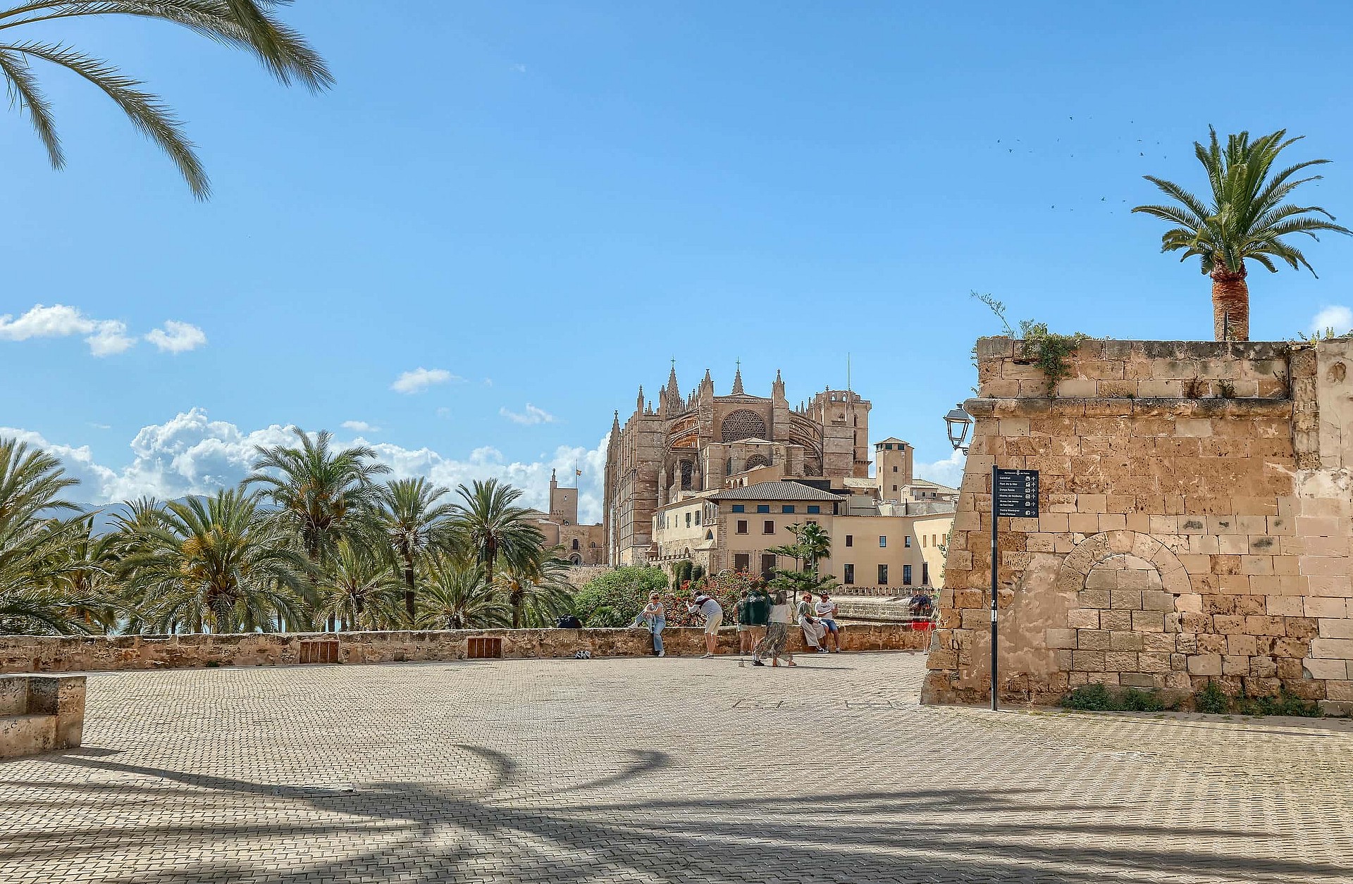 A sunny public square paved with light-colored stones, framed by a palm tree and a historic stone wall, with a large Gothic cathedral in the distance.
