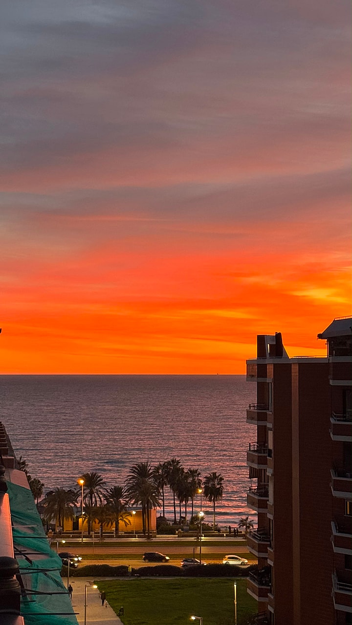 A vibrant orange sunset over the sea viewed from an elevated position, with silhouettes of buildings and palm trees below.
