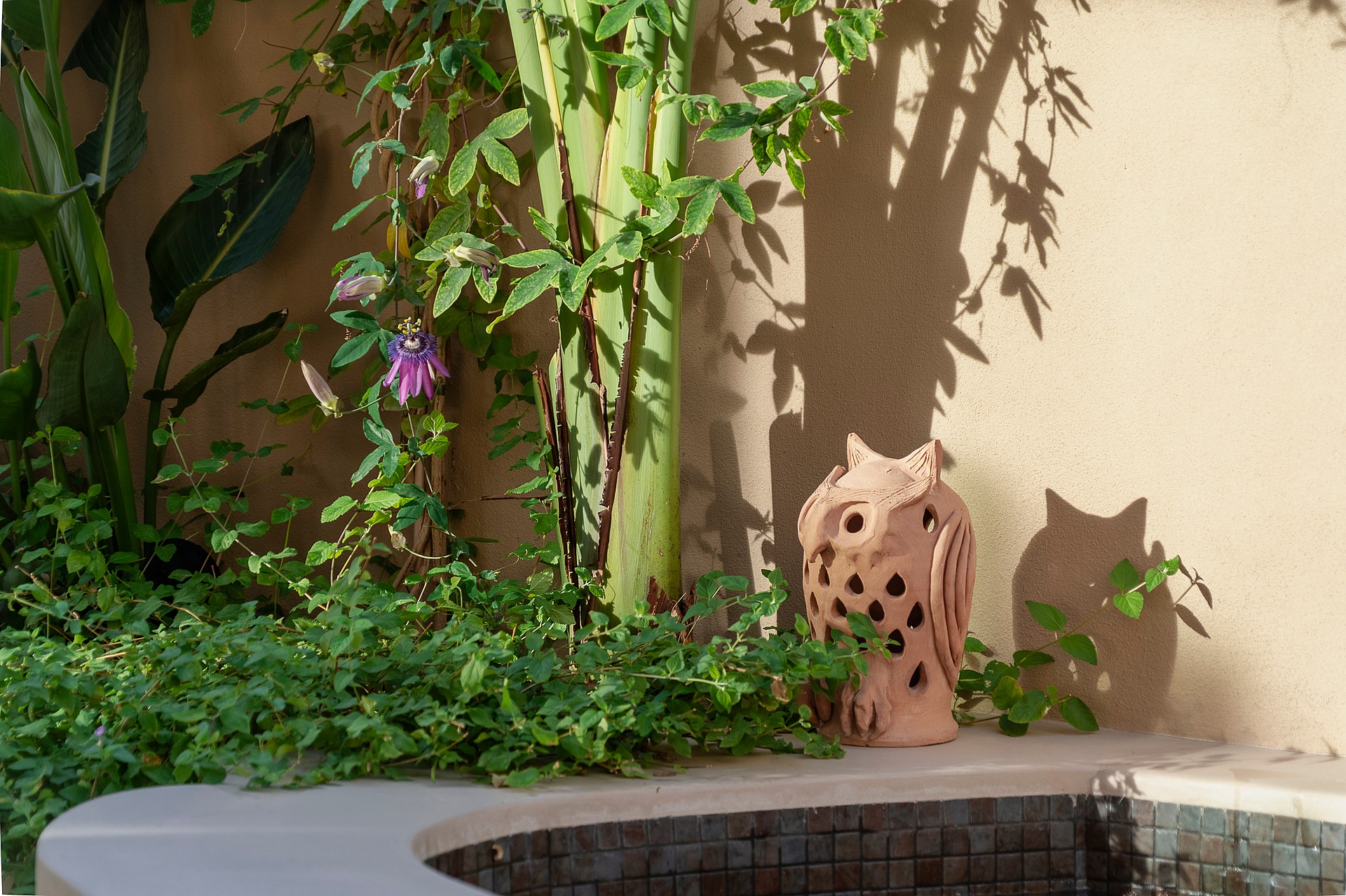 A terracotta owl lantern sits on a curved wall edge in a small garden corner with green foliage and textured beige wall.