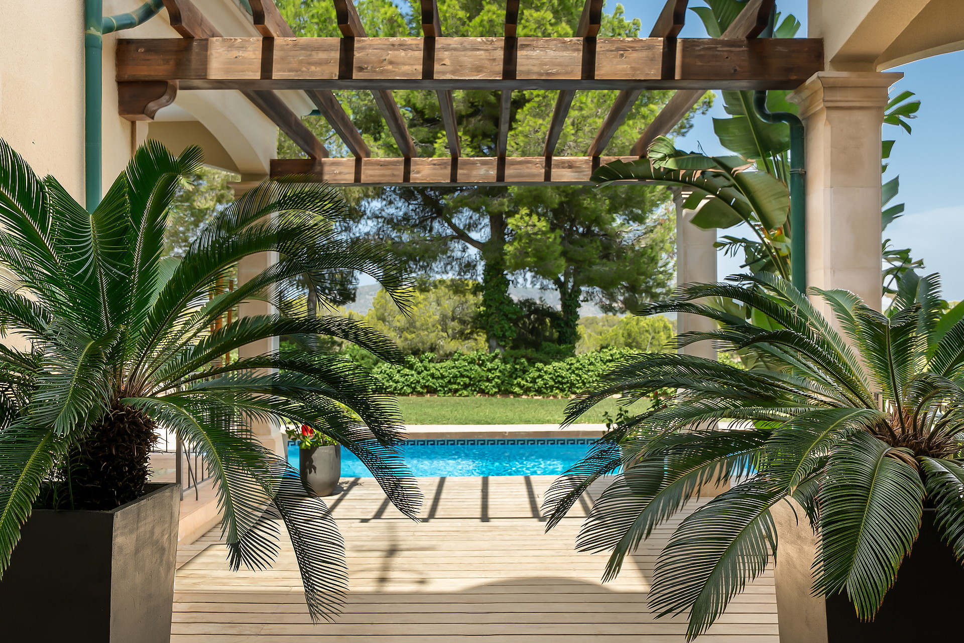 A wooden pergola shades a terrace overlooking a rectangular blue swimming pool with lush garden foliage in the foreground.