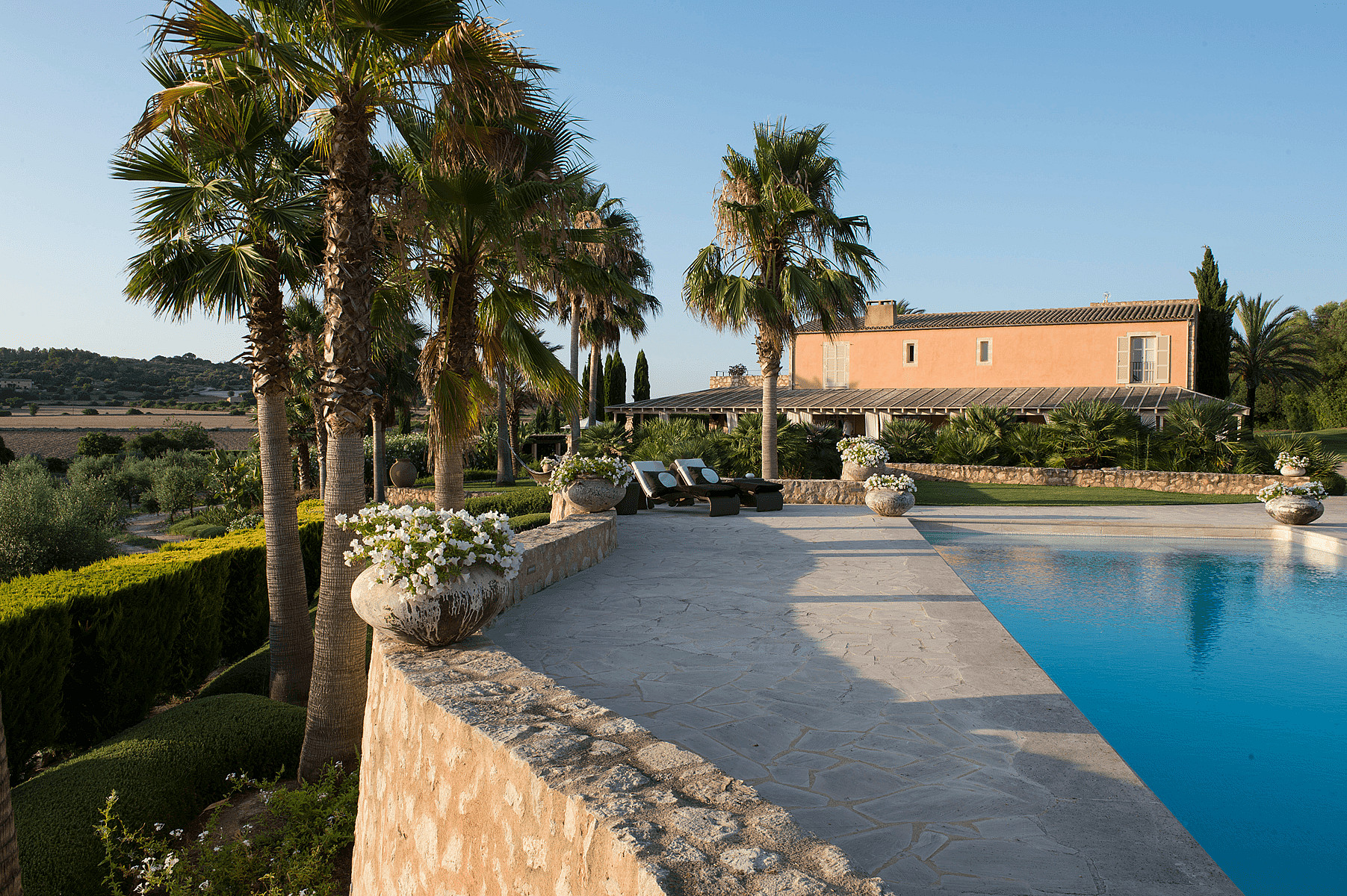 Outdoor swimming pool with stone terrace, palm trees, and terracotta finca building in the background.