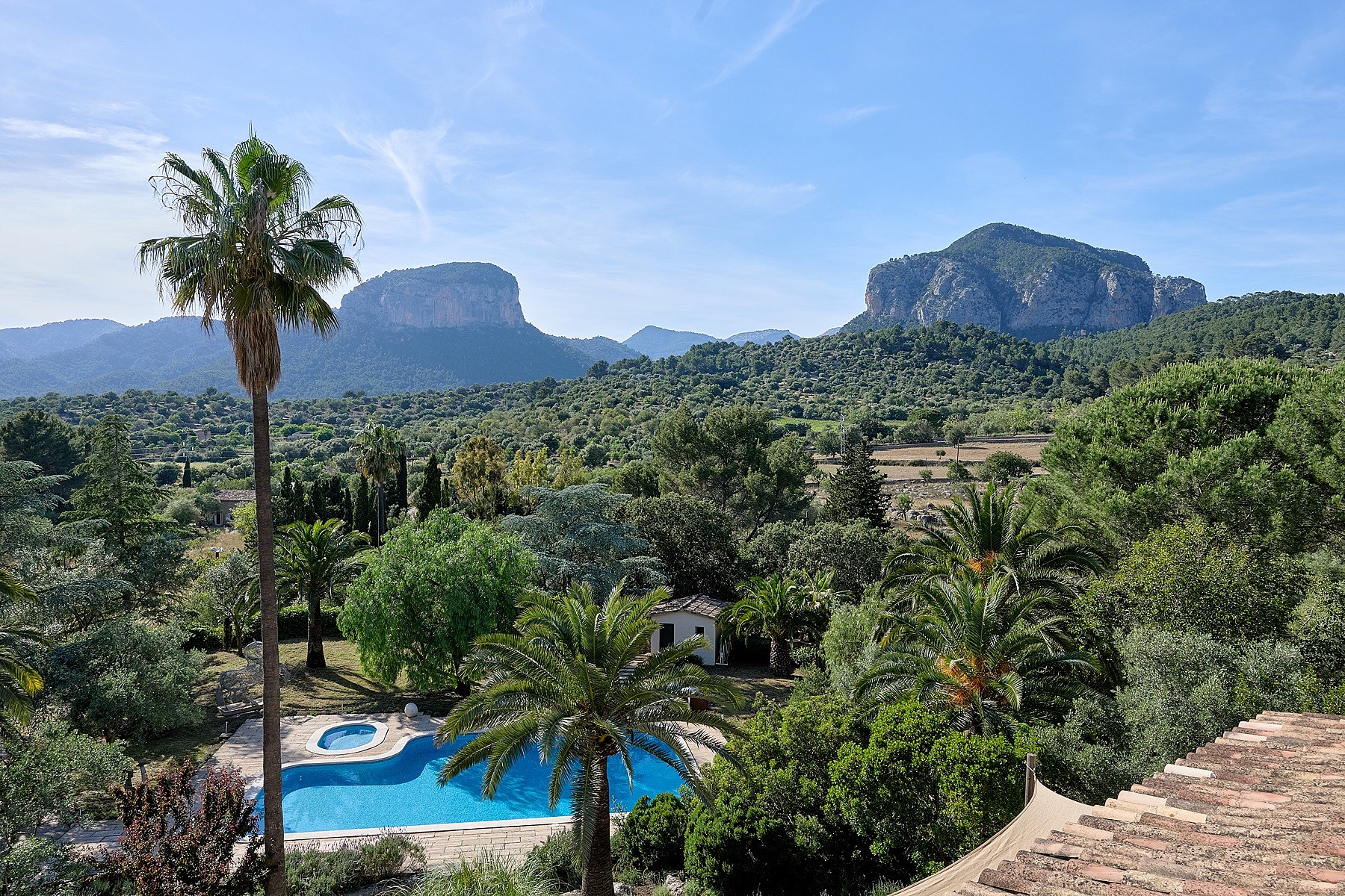Wide shot of a Mallorca finca estate featuring a swimming pool, palm trees, and the Tramuntana mountain range in the distance.