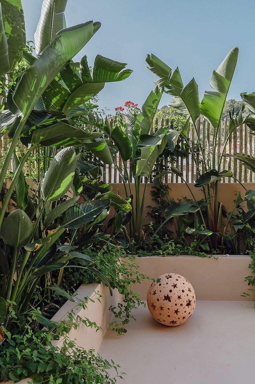A private garden area with a beige concrete planter box and lush tropical foliage, featuring a decorative spherical lamp.