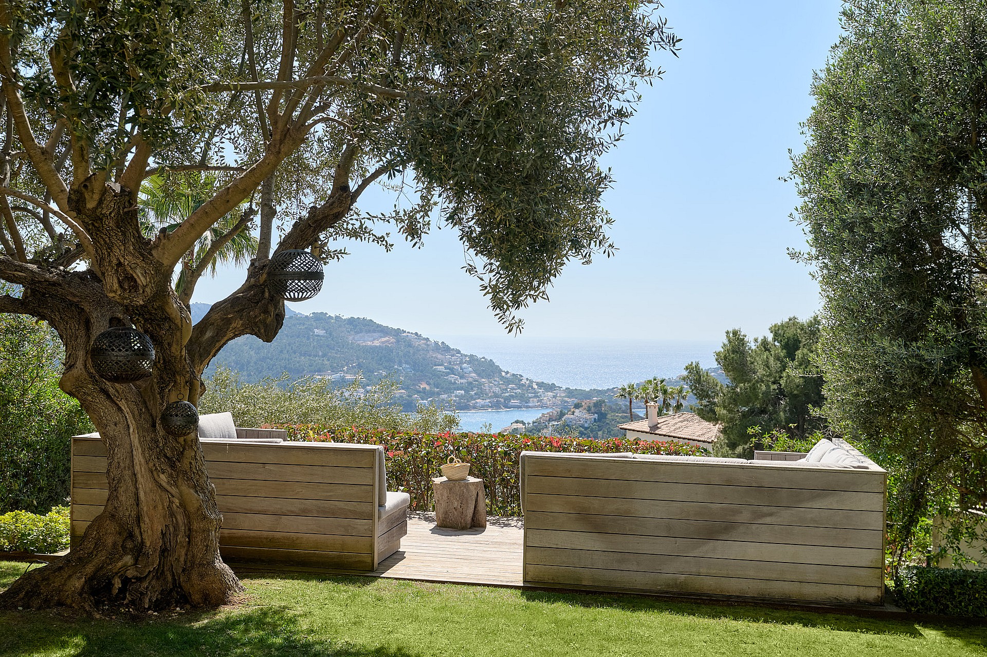 Garden seating beneath a mature olive tree with the sea and coastline beyond