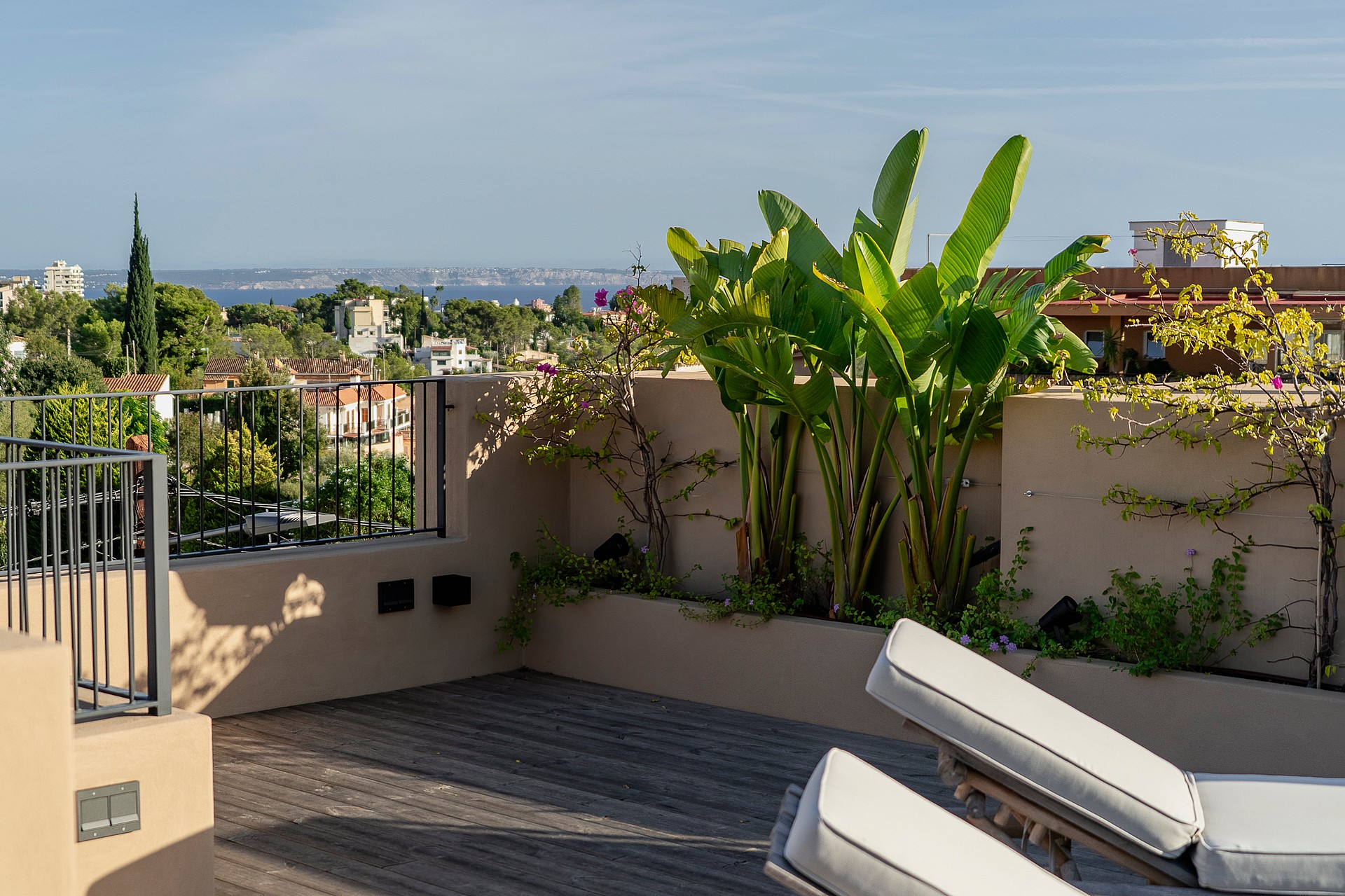 A rooftop terrace featuring wooden decking, two lounge chairs, and a planter with banana plants, overlooking the Genova skyline.