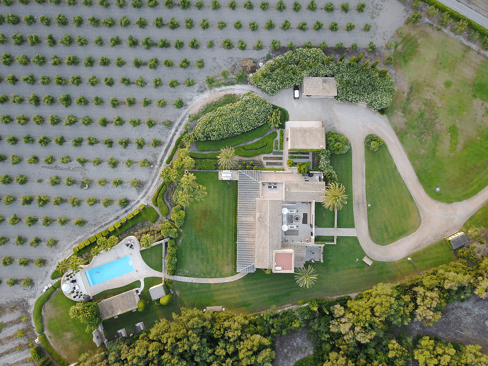 Top-down drone view of a rural estate in Algaida, featuring a main house, swimming pool, and surrounding orchard rows.