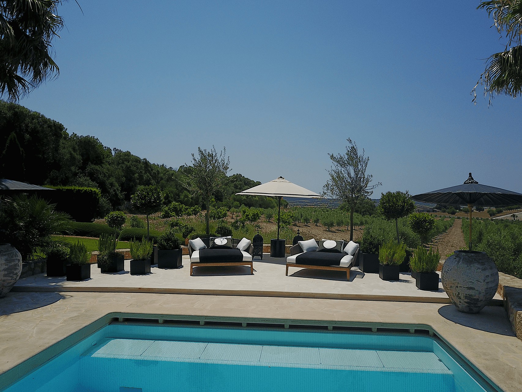 A swimming pool deck with two black and white lounge chairs and sun umbrellas, framed by olive trees and open landscape.