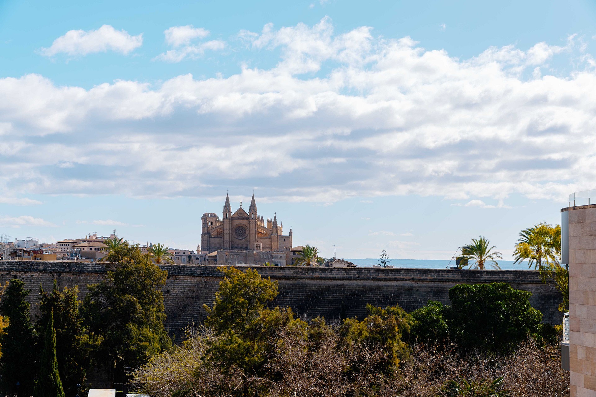 An elevated view looking across trees toward a historic gothic cathedral under a bright blue sky with scattered white clouds.