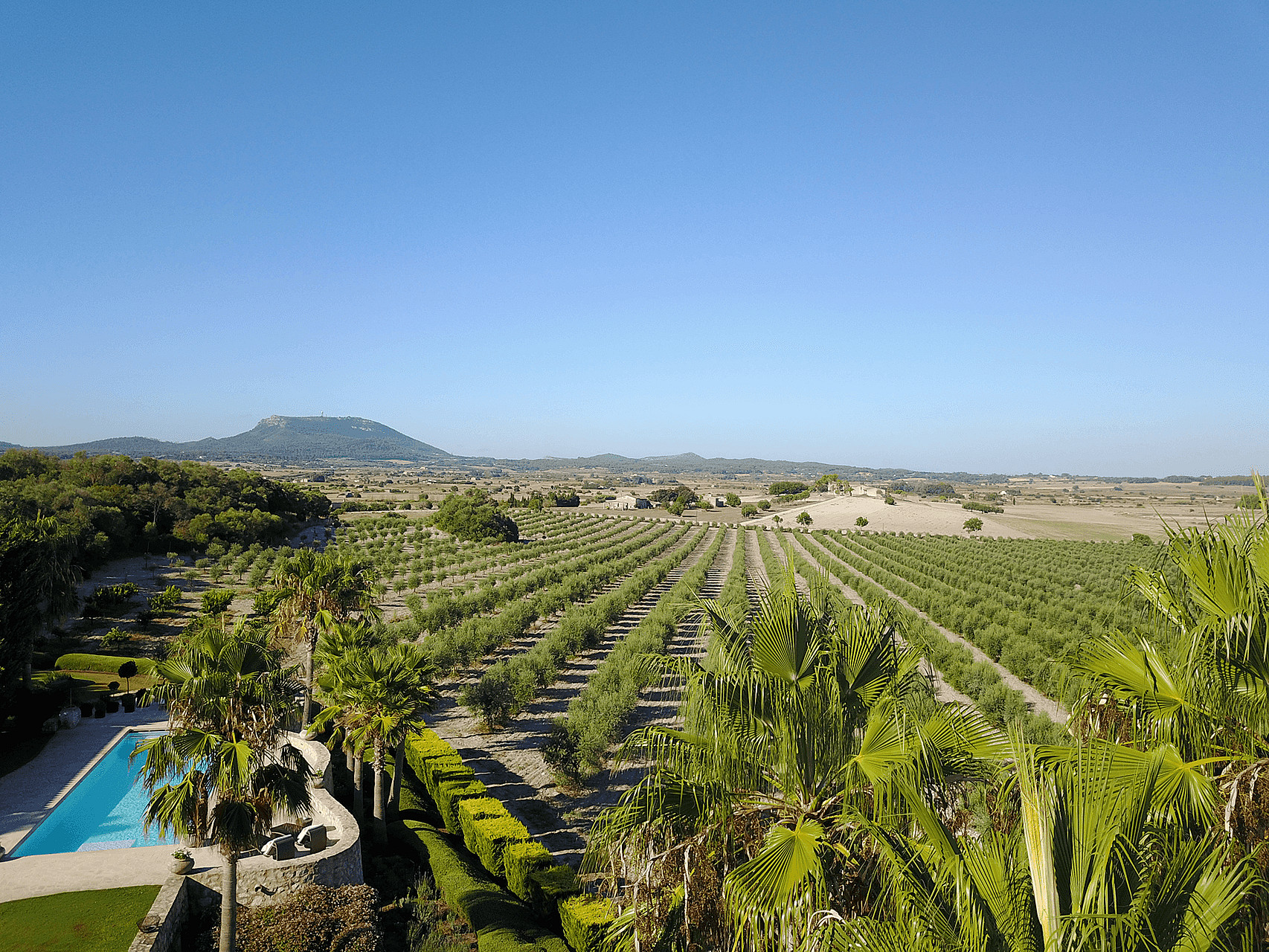 High angle shot of a Finca garden with a swimming pool and vast rows of olive trees stretching toward distant mountains.