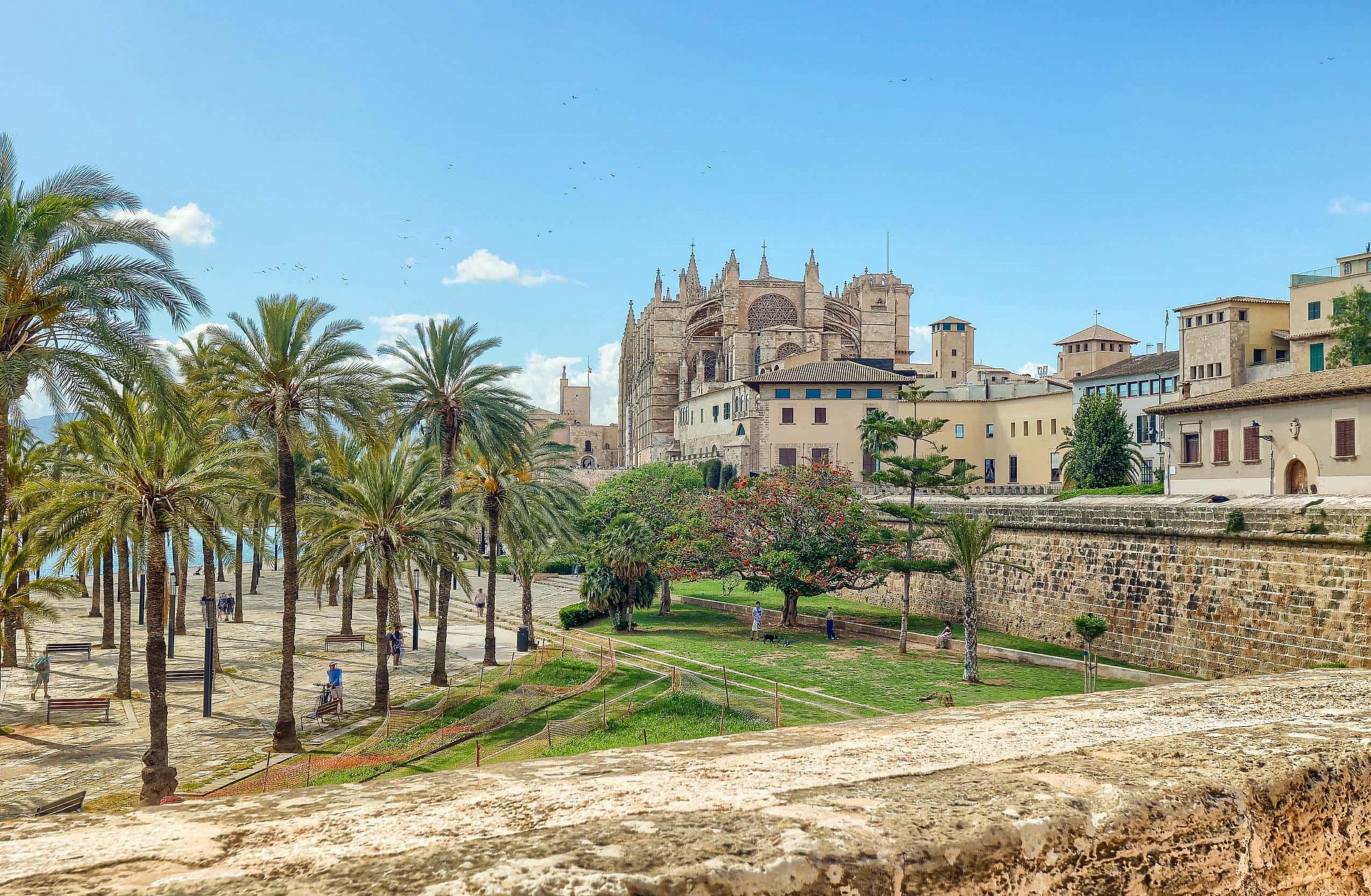 Panoramic view of a historic stone building and cathedral surrounded by palm trees and green gardens under a clear blue sky.