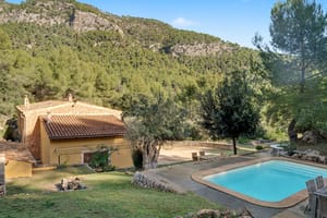 Swimming pool and garden with mountain and pine forest behind a rustic finca