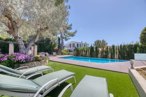 A private garden with a swimming pool, sun loungers on grass, a mature olive tree, and privacy hedges under a clear blue sky.