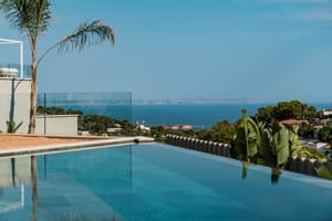An infinity-edge swimming pool with clear blue water, glass balustrade, and palm tree, set against a coastal horizon.