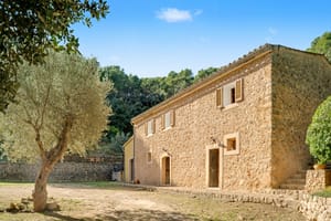 Exterior view of a traditional stone finca with timber shutters, surrounded by olive trees and pine forest under a blue sky.