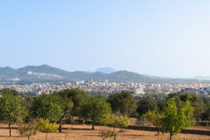 Vista panorámica del paisaje rural con árboles frutales en primer plano, hacia el pueblo de Manacor y las colinas.